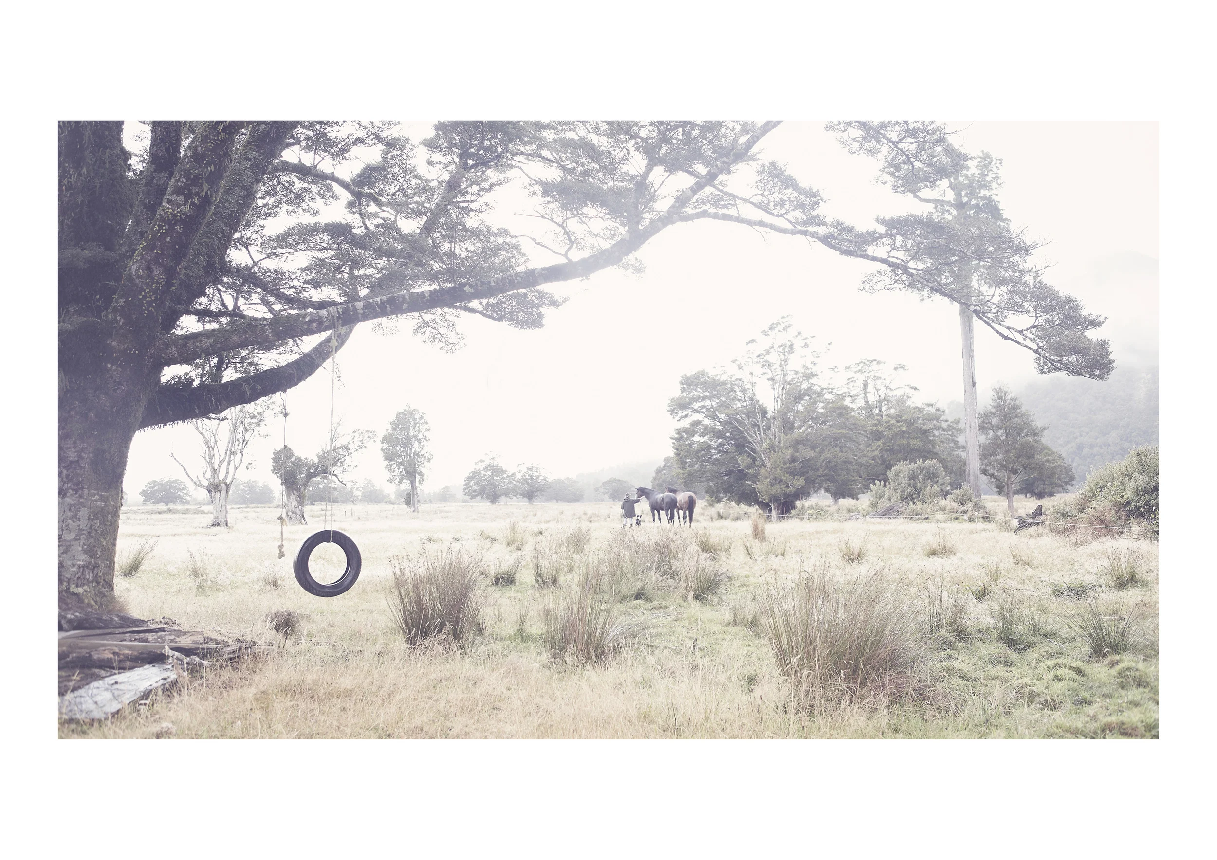 : Exhibition : Our Land