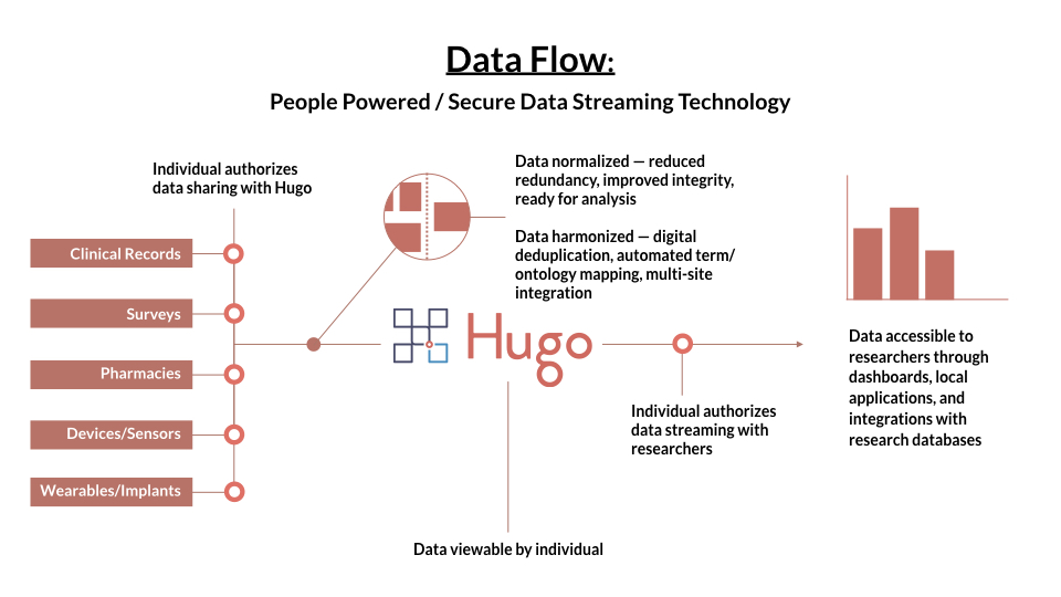 Hugo Data flow.001.jpeg