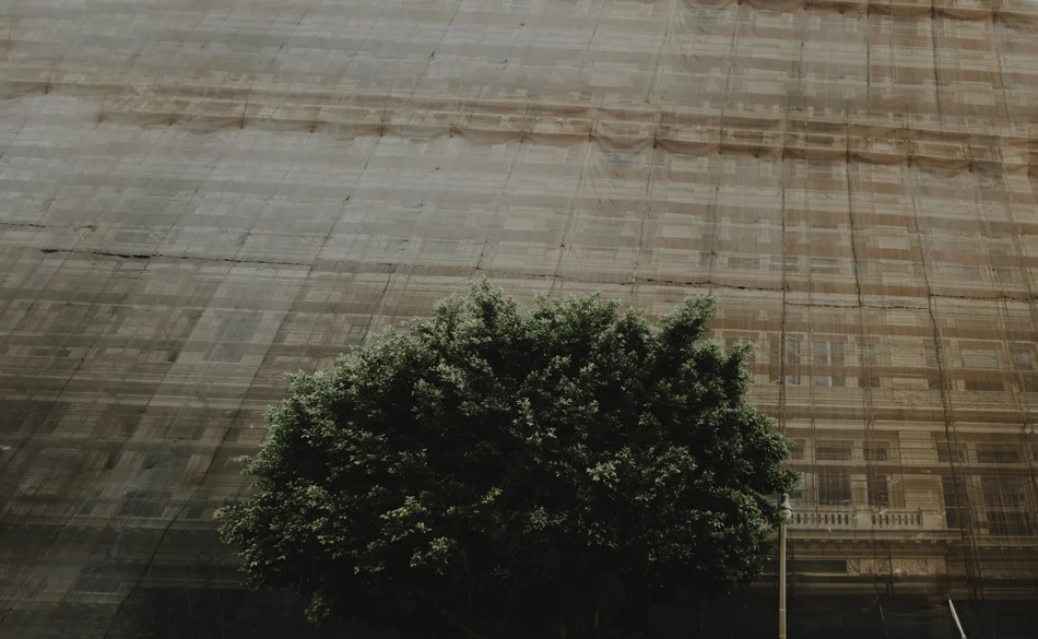 Untitled_Panorama1.jpg