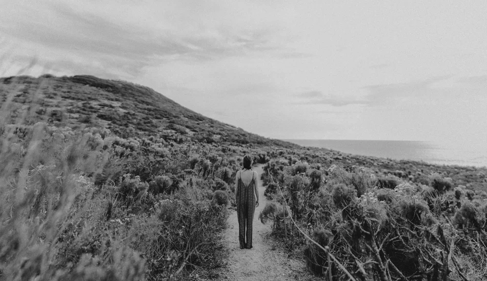 Untitled_Panorama1fieldtrip 05 canon ase full.jpg