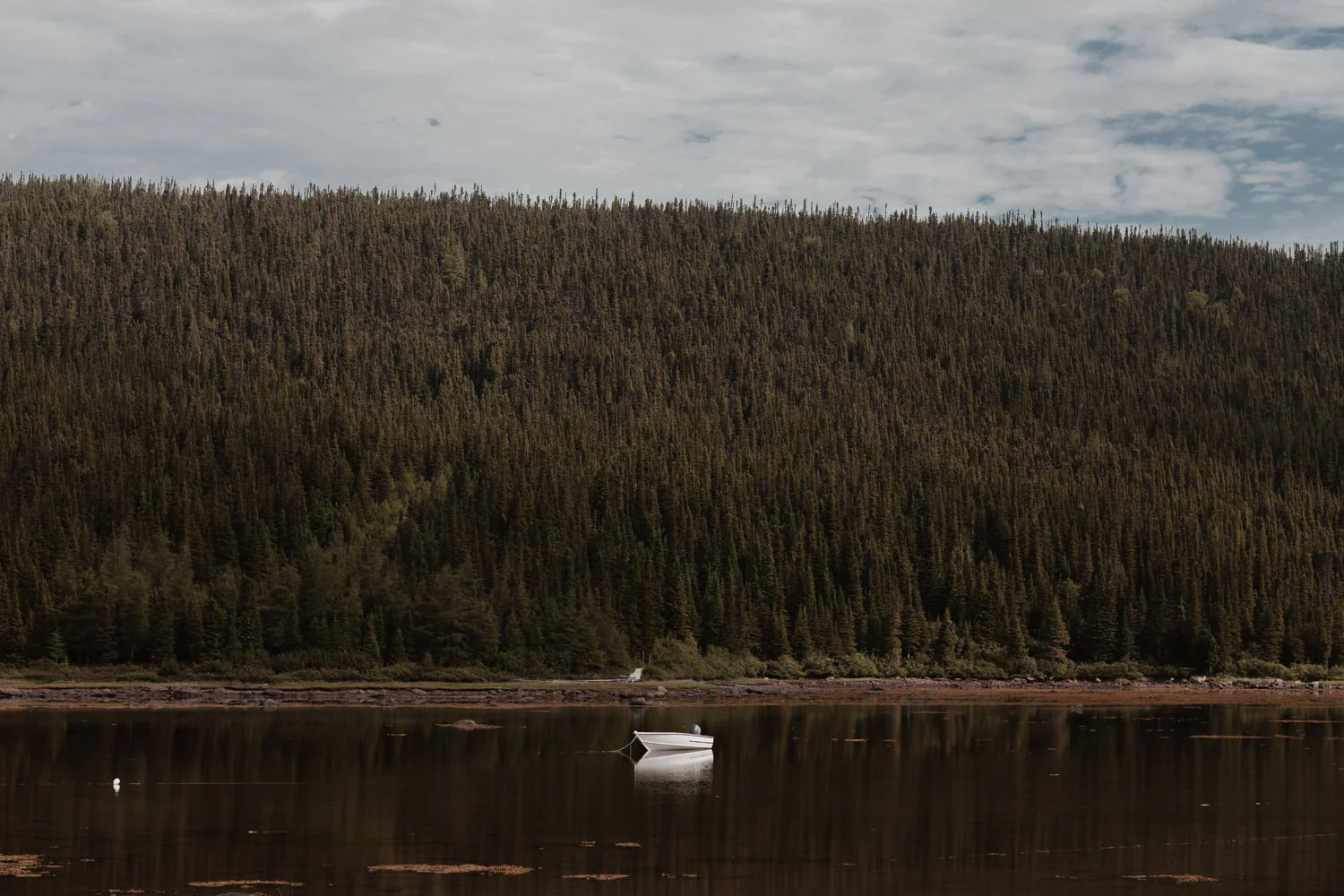 Best of New Foundland Labrador 02 Canada c3 adventure photographer aventure discovery découverte (26 of 42).jpg