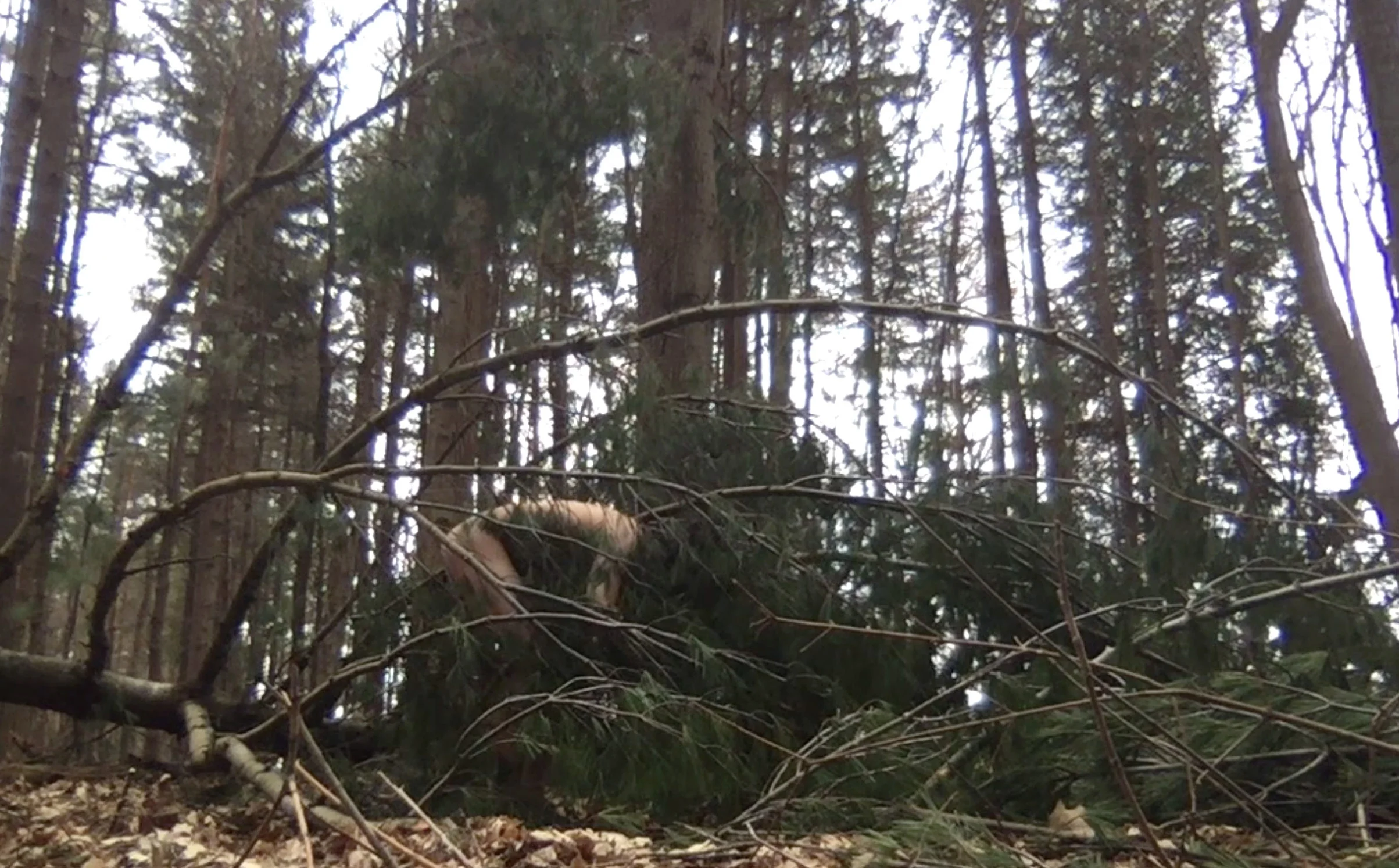 Bui_yaddoyaddo.jpg