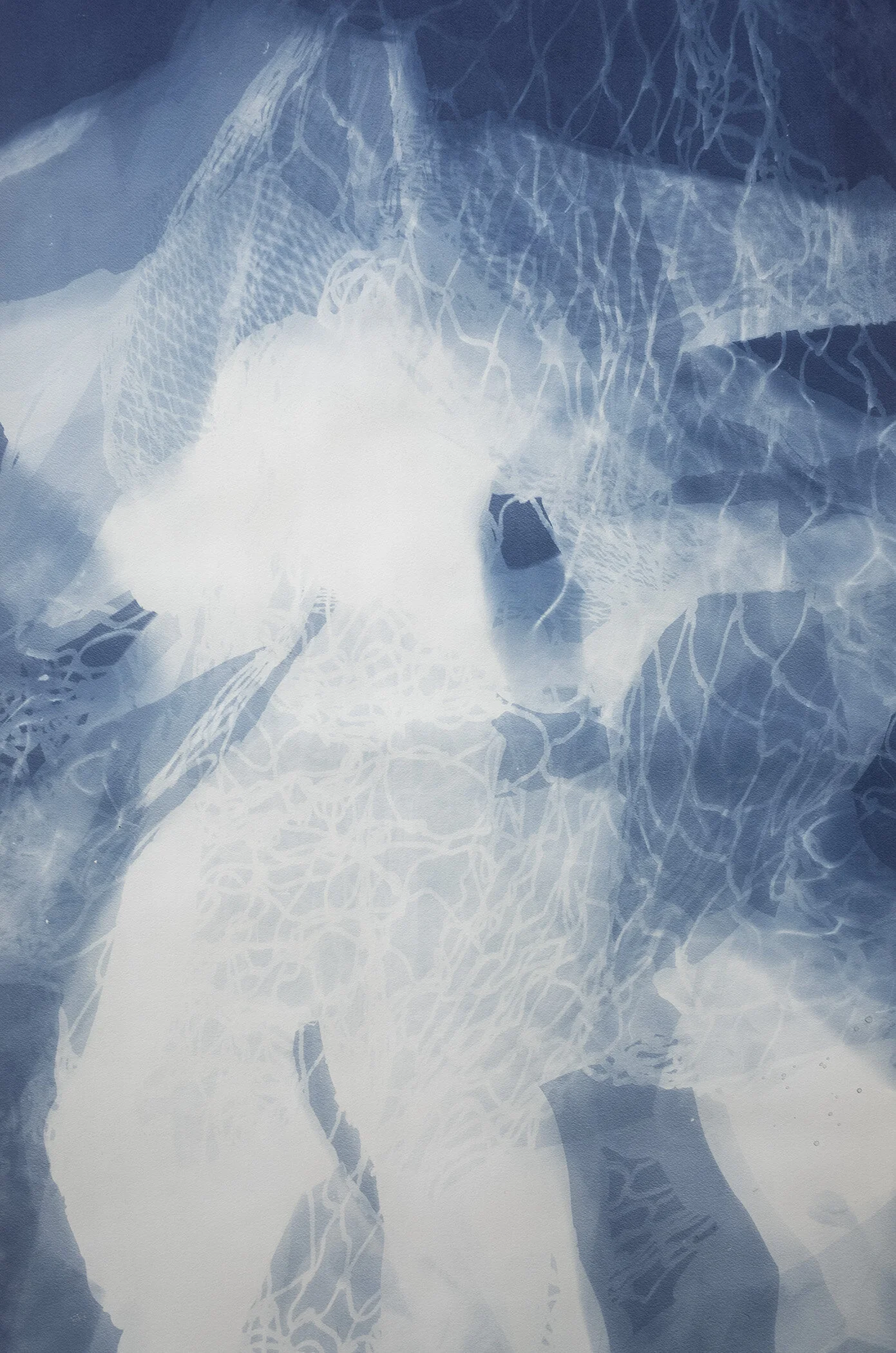 WEB_Bui_Antonius_Cyanotype16.jpg