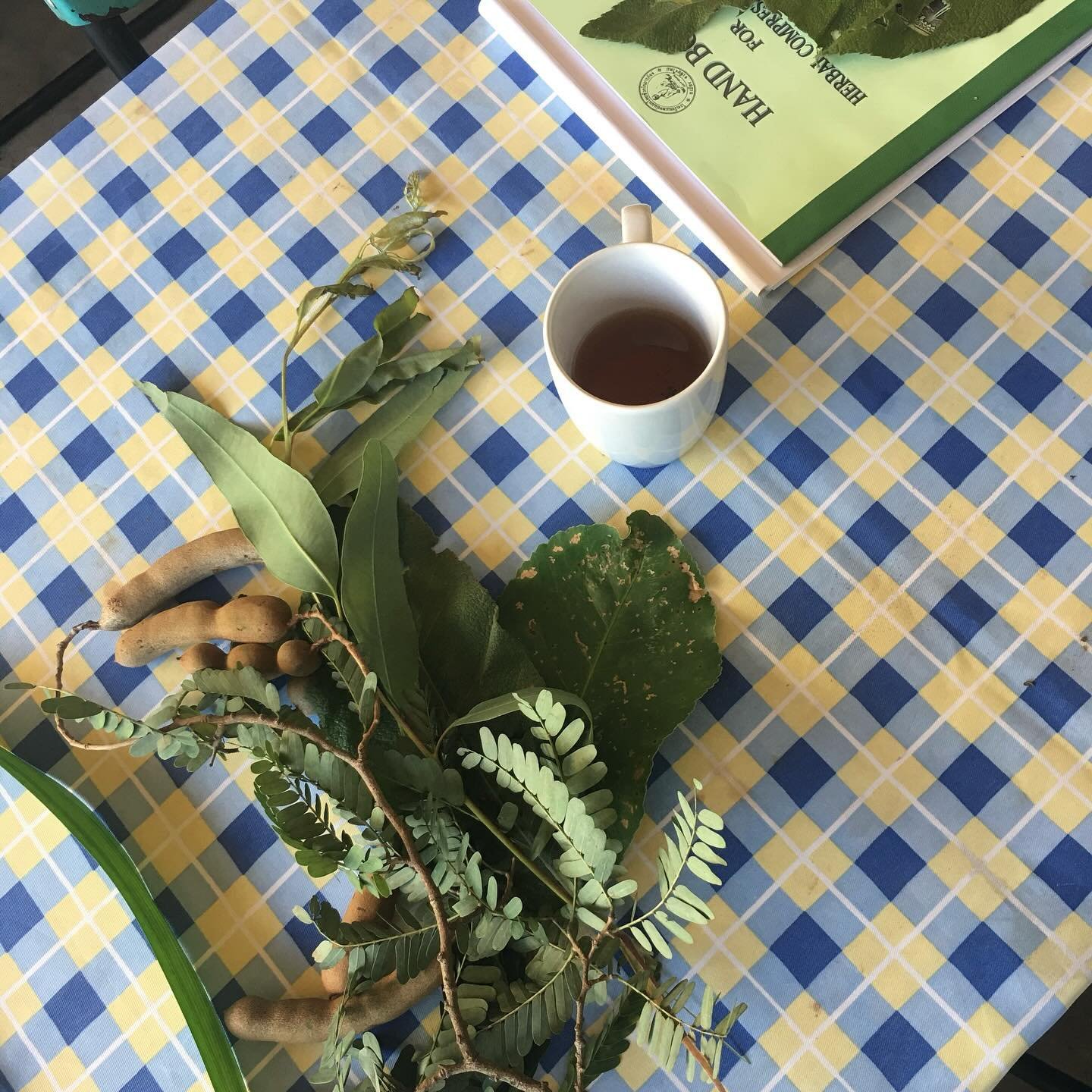 🌿 &Uuml;ber 10 Jahre Kr&auml;uterstempelliebe 🌿

Im Winter 2014 kam ich in Thailand das erste Mal in Ber&uuml;hrung mit Kr&auml;uterstempeln. 

Sie haben mein Herz im Sturm erobert &amp; mich so tief ber&uuml;hrt, dass ich mein Gl&uuml;ck kaum fass