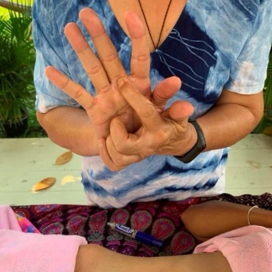 Pi Jem is coming to Germany! 

I am delighted to be hosting and organizing her visit. Supporting special people with exceptional healing skills and a ton of life experience is a true delight for me. It feels like contributing to human treasure box ;-