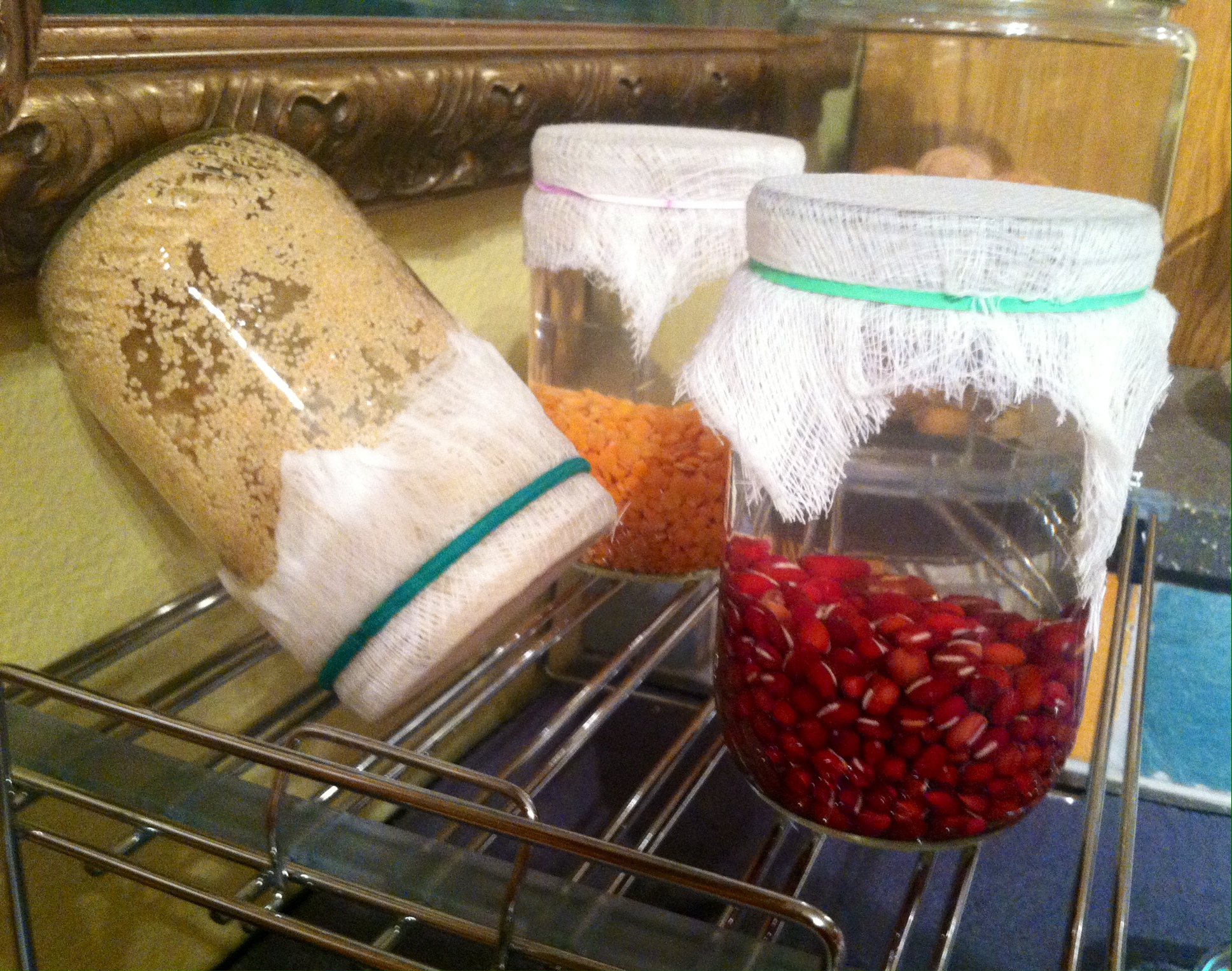 Seeds are usually first soaked for up to 12 hours and then rinsed and drained every 8 hours afterward until they, well... SPROUT! 