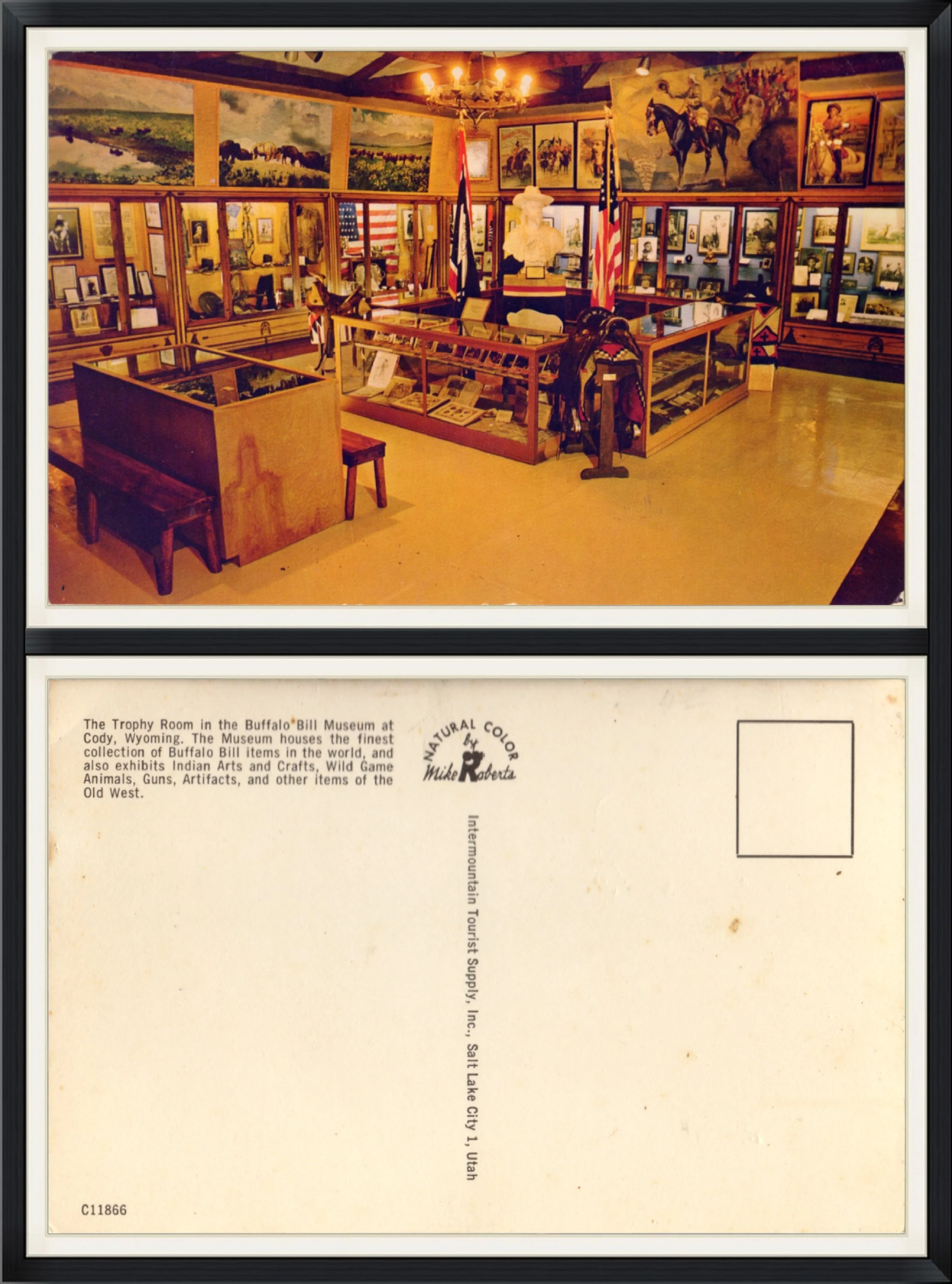 The Trophy Room at the Buffalo Bill Museum in Cody, Wyoming - Printed Postcard
