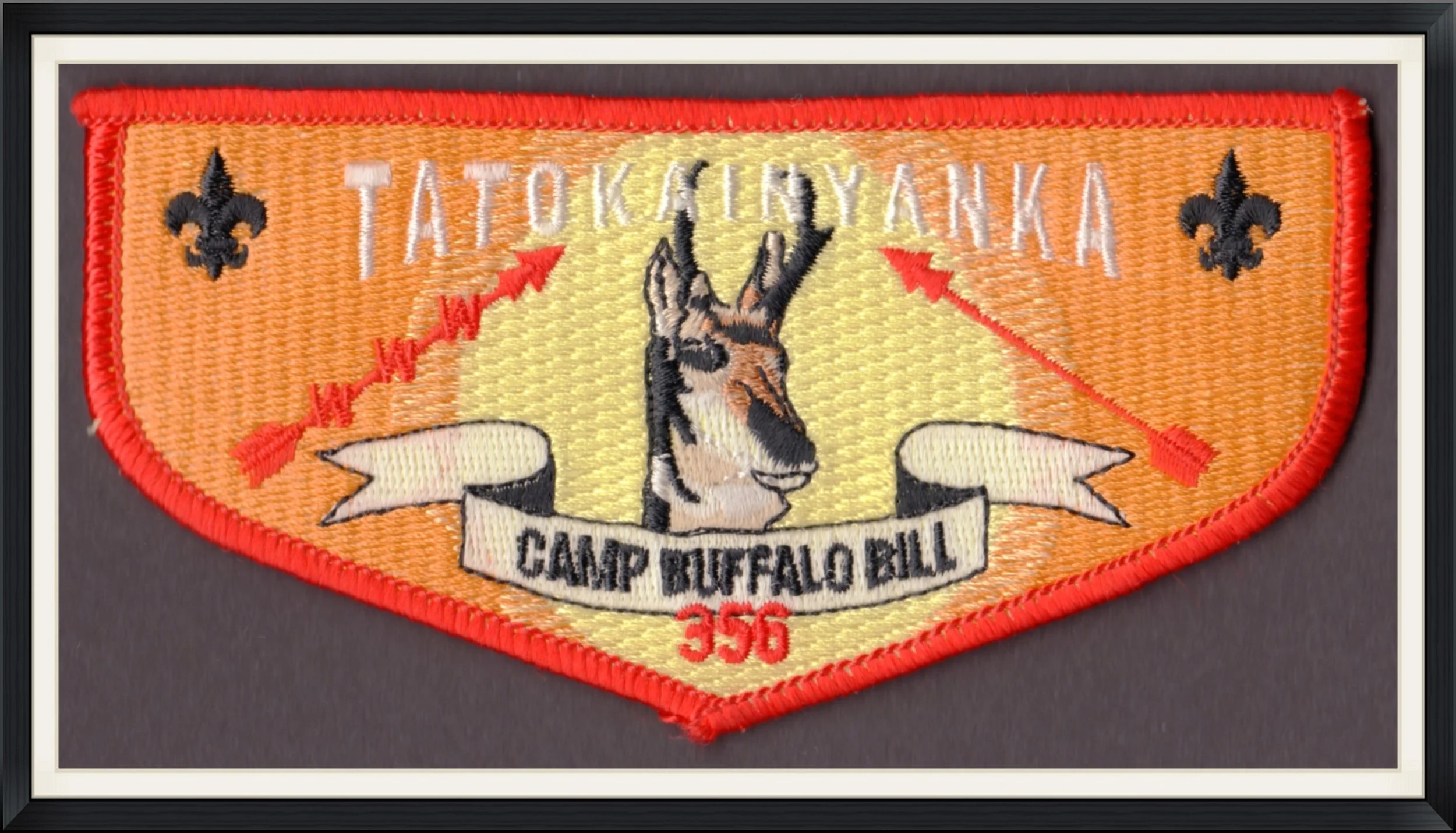Camp Buffalo Bill - Tatokainyanka 356 - Patch