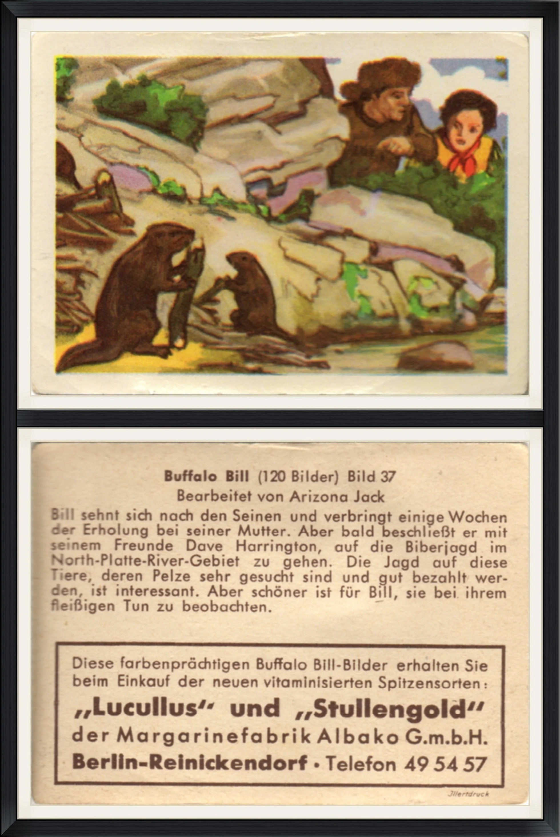 Buffalo Bill (120 Bilder) Bild 37 - Bearbeitet Von Arizona Jack - "Lucullus" and "Stullengold" - Trading Card