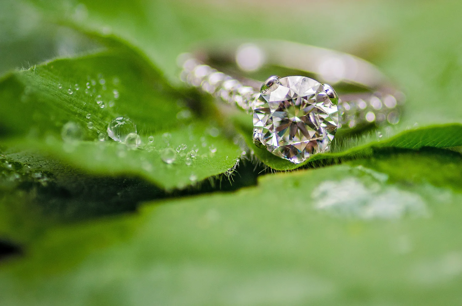 Calgary Engagement Photographer >> Let There Be Light Photography www.lettherebelightphoto.com