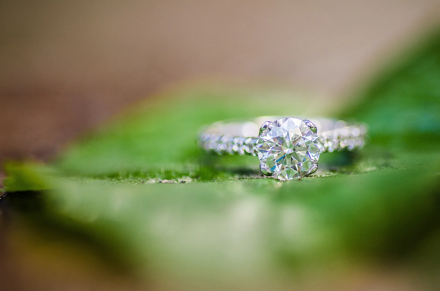 Calgary Engagement Photographer >> Let There Be Light Photography www.lettherebelightphoto.com