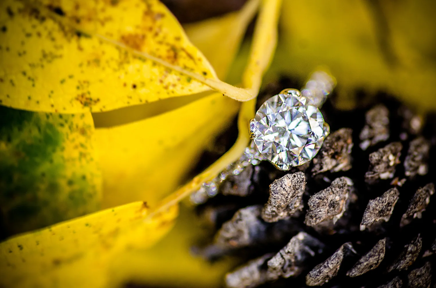 Calgary Engagement Photographer >> Let There Be Light Photography www.lettherebelightphoto.com