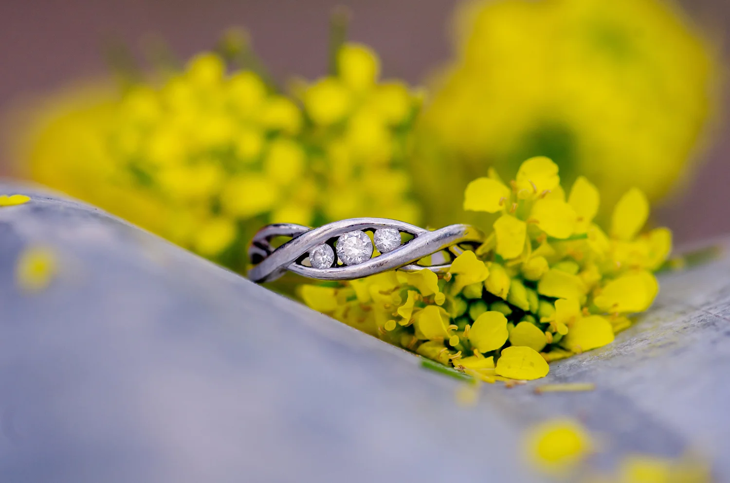Calgary Engagement Photographer >> Let There Be Light Photography www.lettherebelightphoto.com