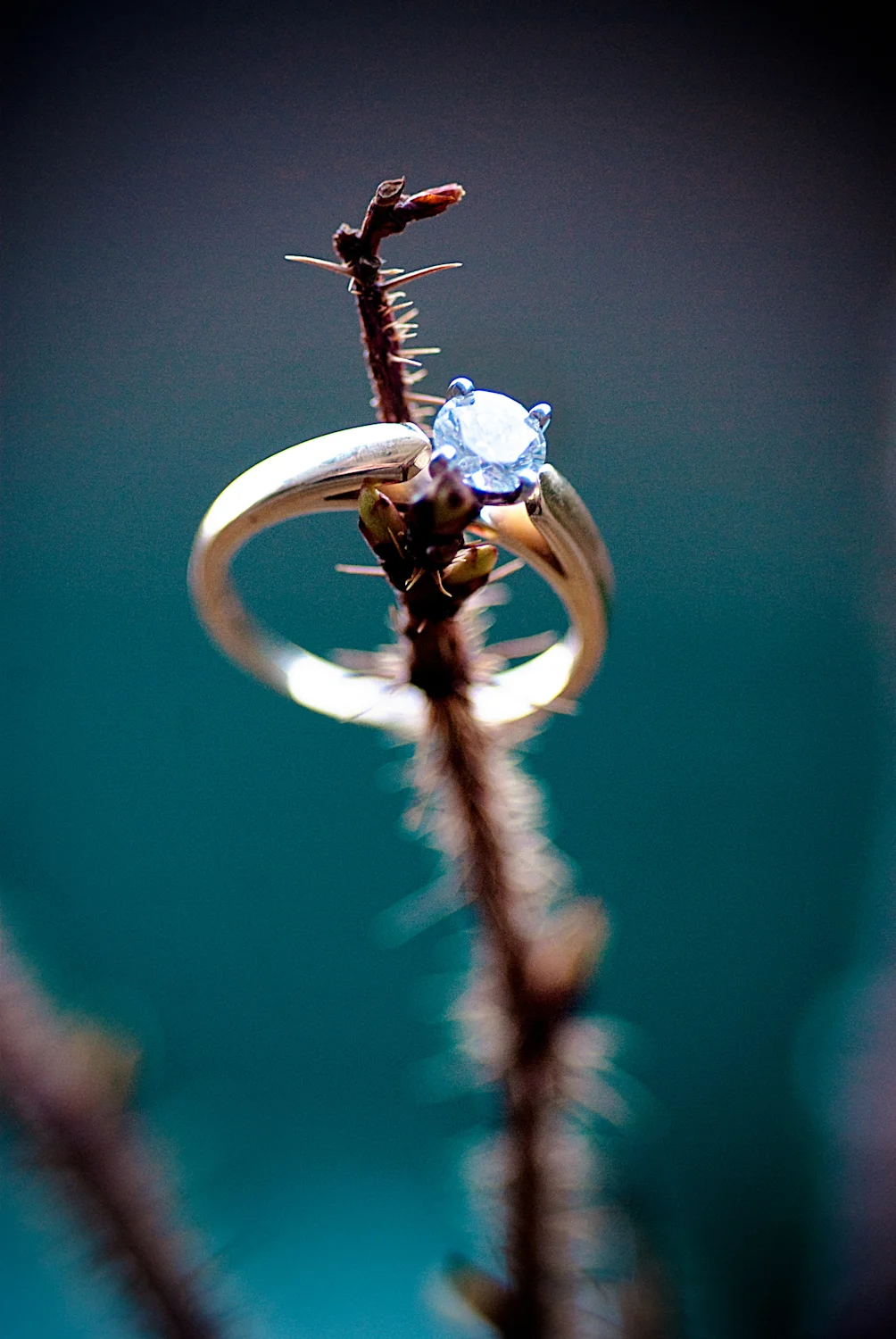 Calgary Engagement Photographer >> Let There Be Light Photography www.lettherebelightphoto.com