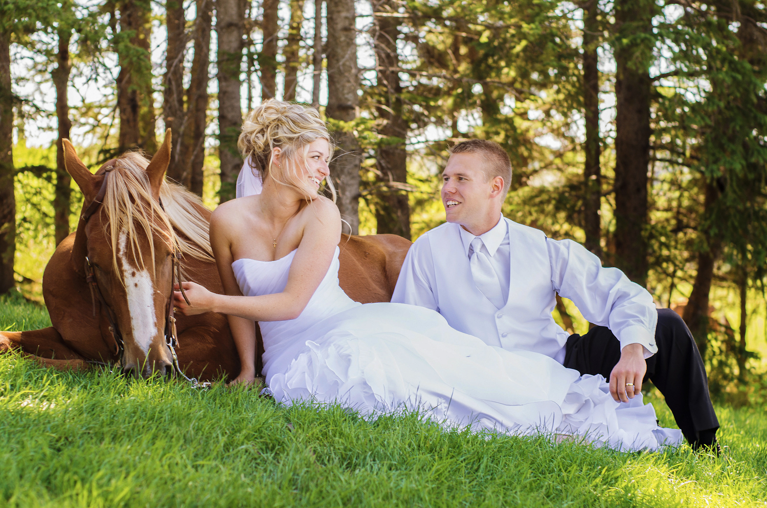 Calgary Wedding Photographer >> Let There Be Light Photography www.lettherebelightphoto.com