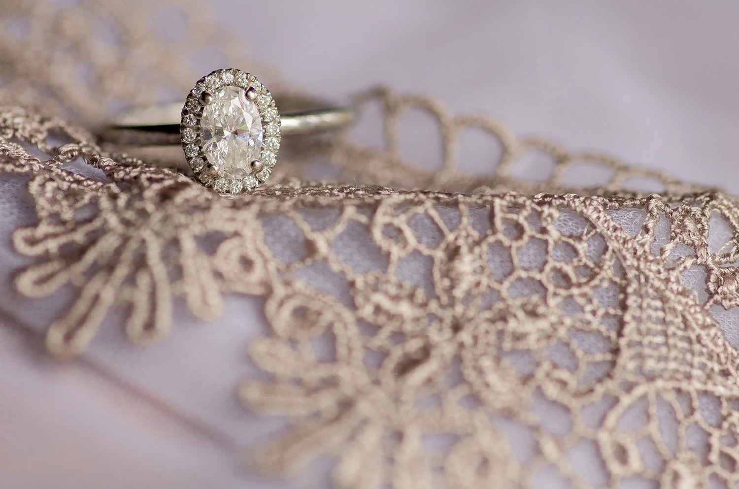 Calgary Wedding Photographer >> Let There Be Light Photography www.lettherebelightphoto.com