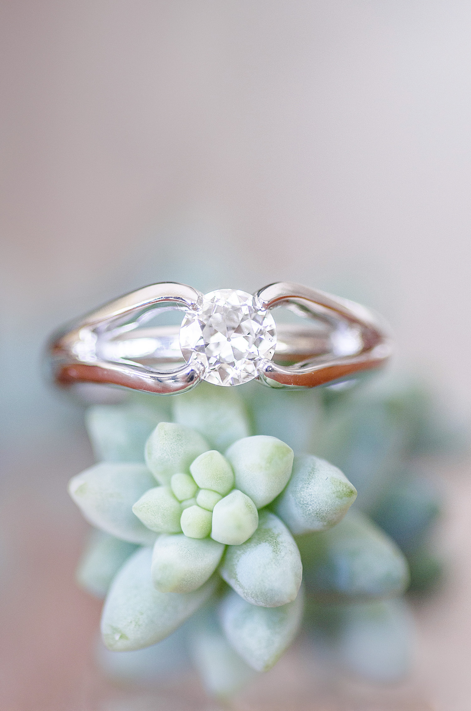 Diamond Engagement Ring with a Succulent captured by Let There Be Light Photography in Cochrane Alberta