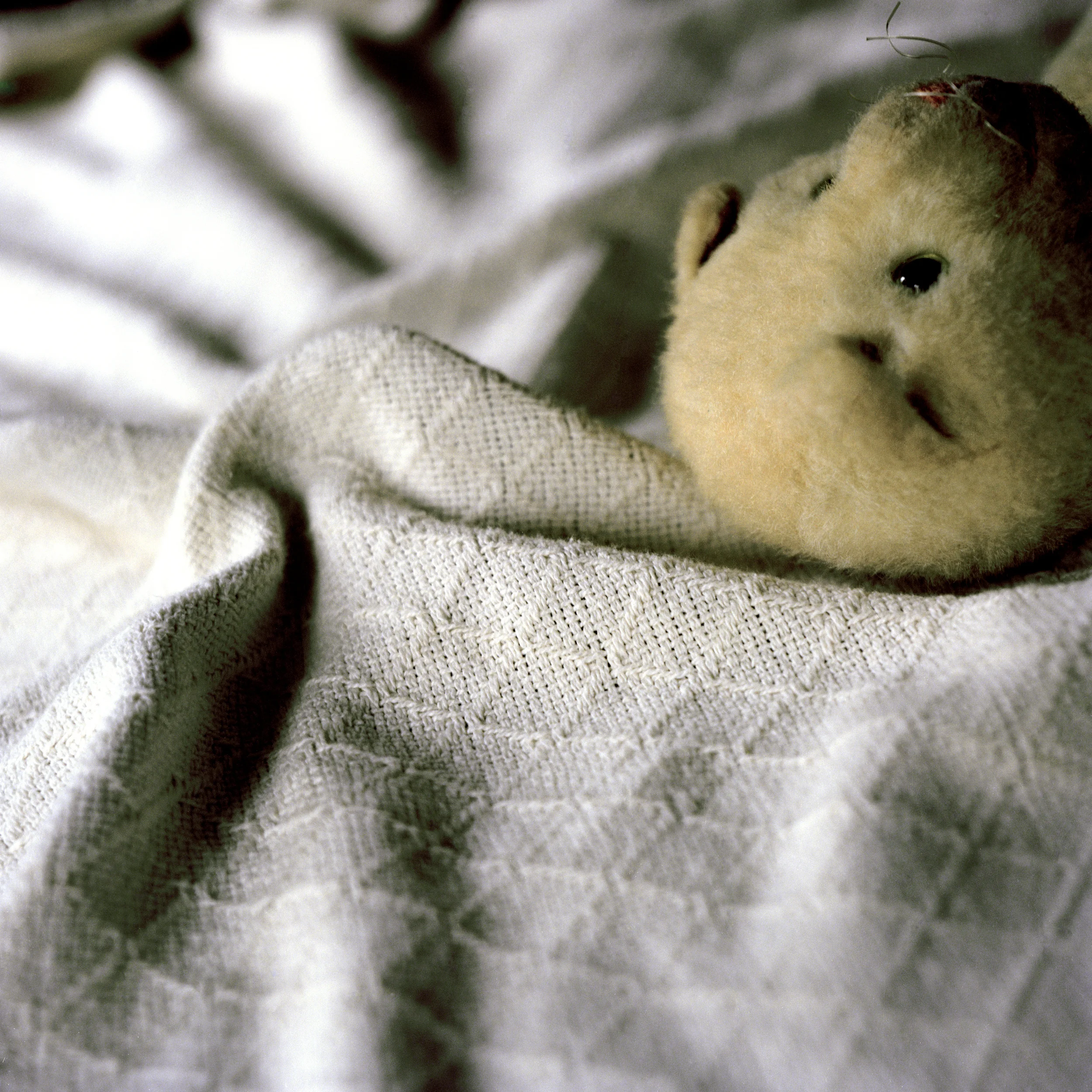 creamcheesef.jpg