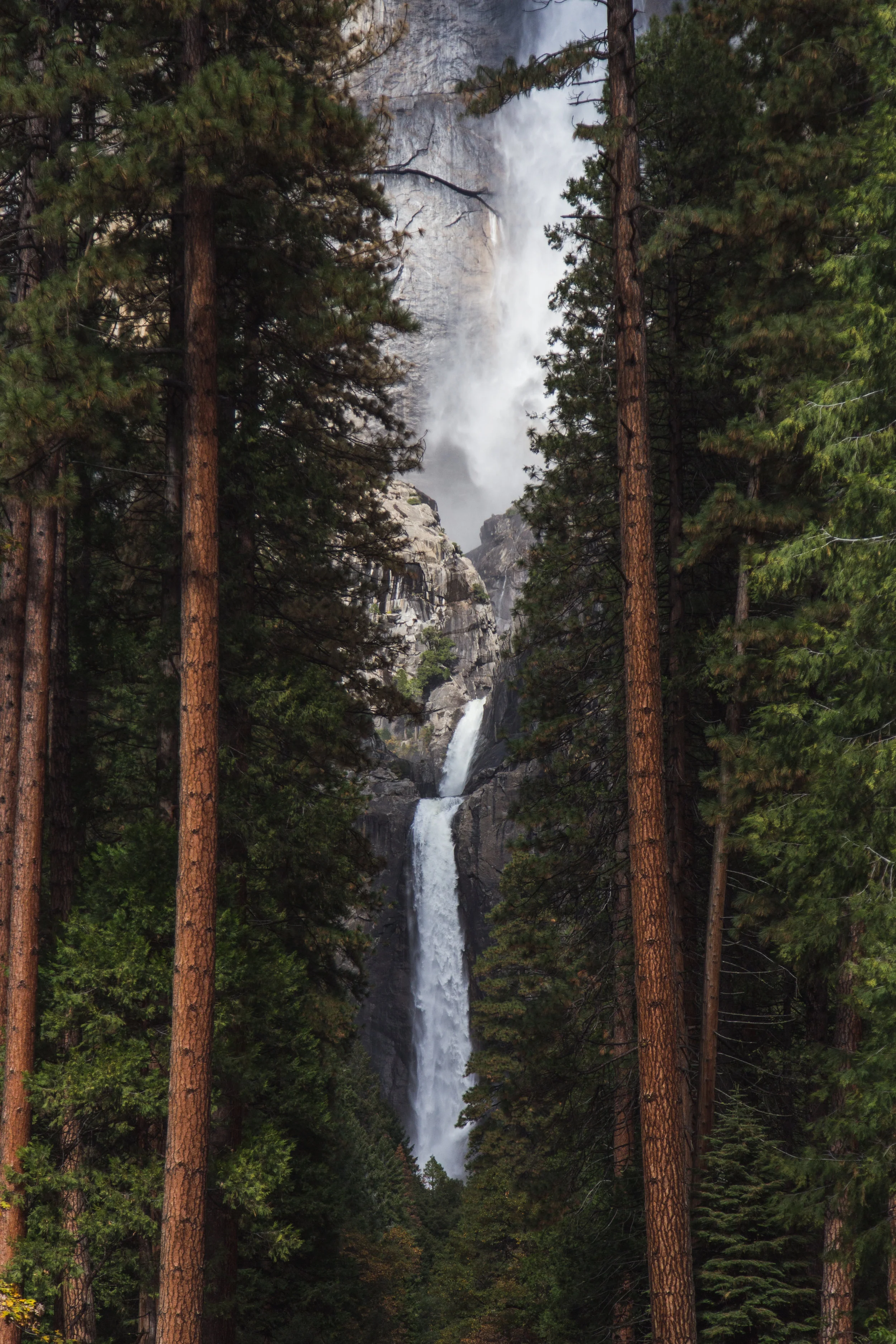 california2016-0980.jpg