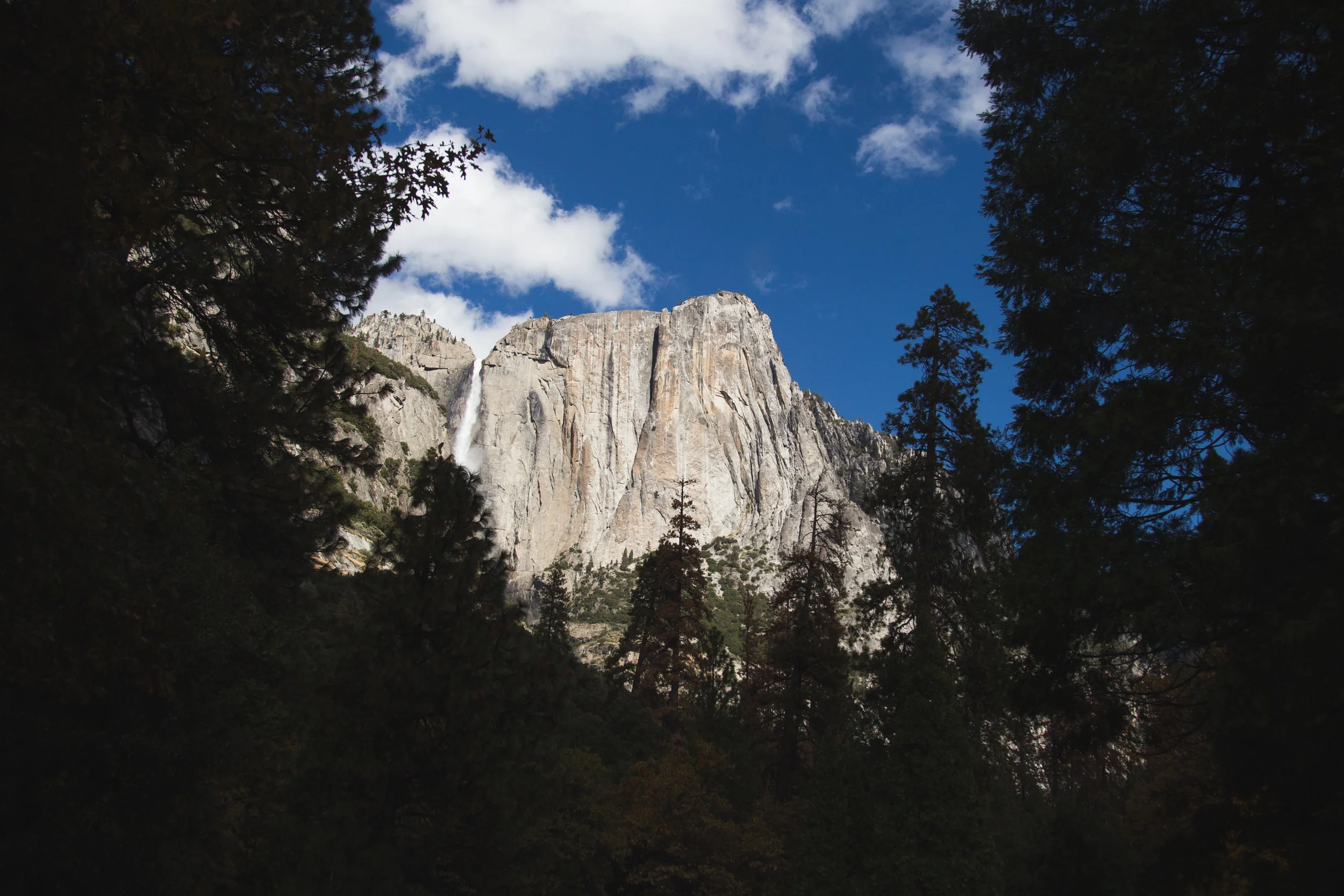 california2016-0968.jpg