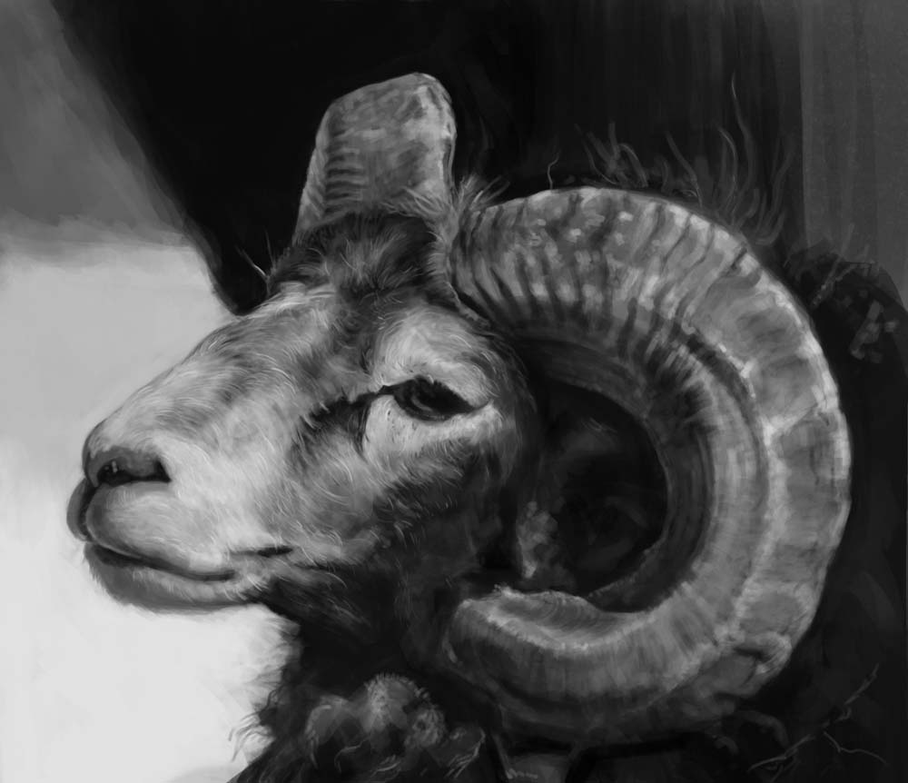 ramHead3.jpg
