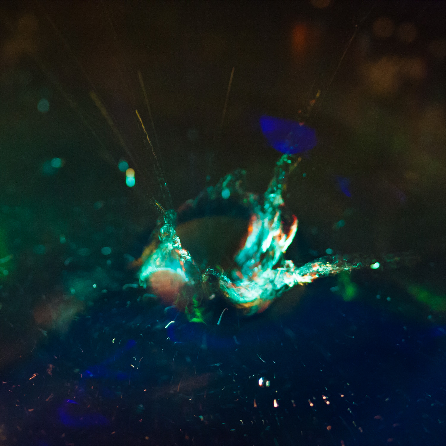 A.Erlebacher_Water&Light [2892].jpg