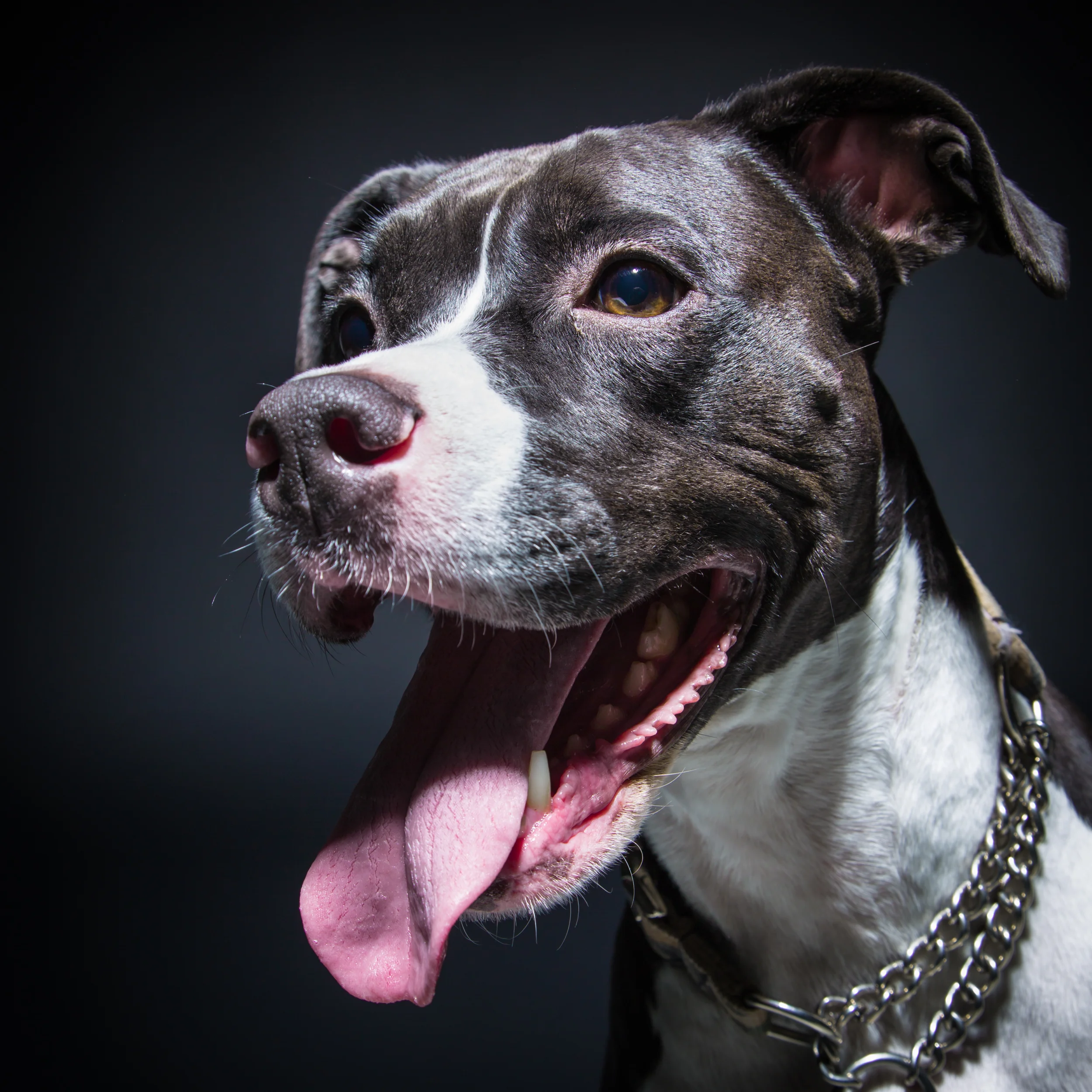 A.Erlebacher_Headshots_03[022-9011] Nuggets.jpg