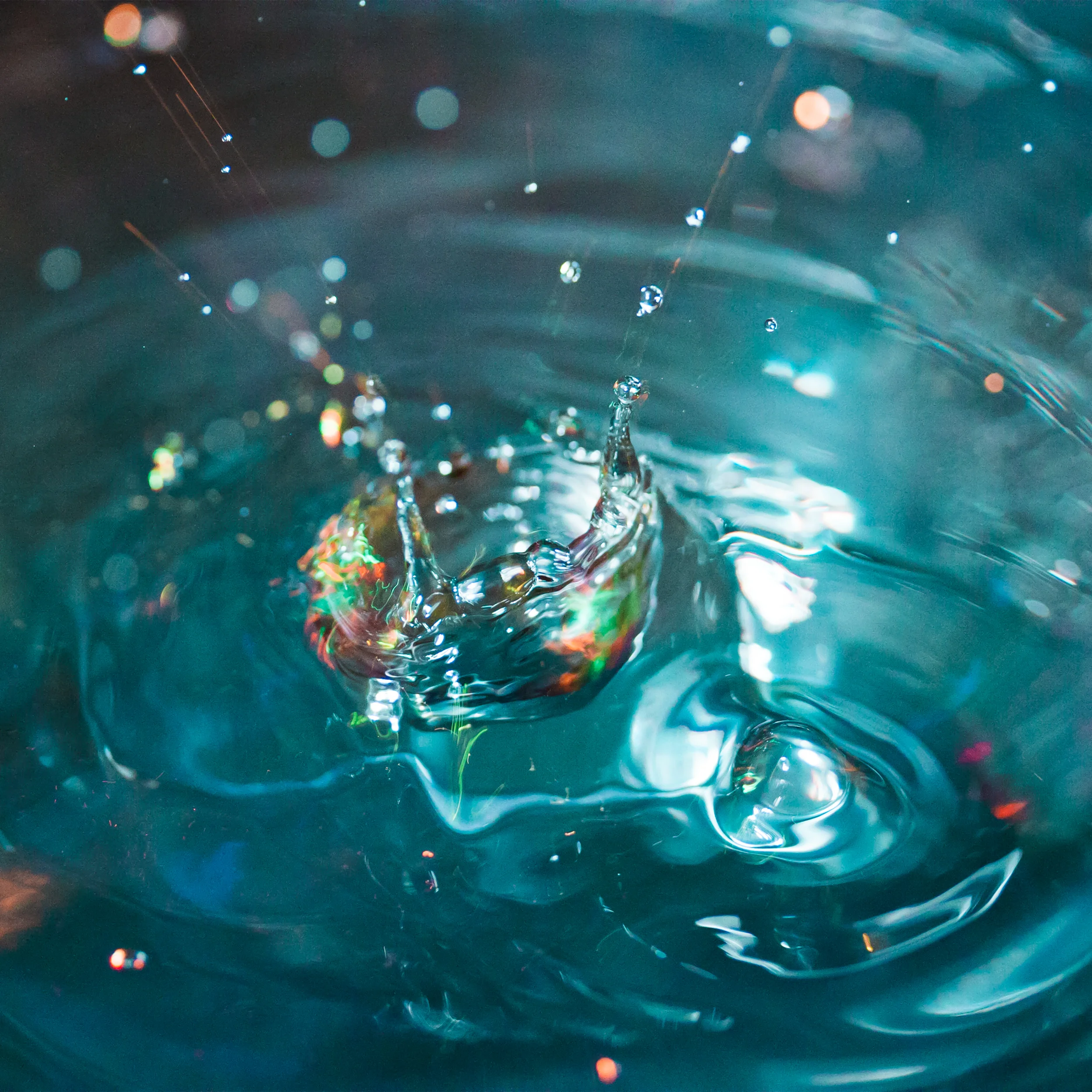 A.Erlebacher_Water_01[000-2848.2]Water&Light.jpg