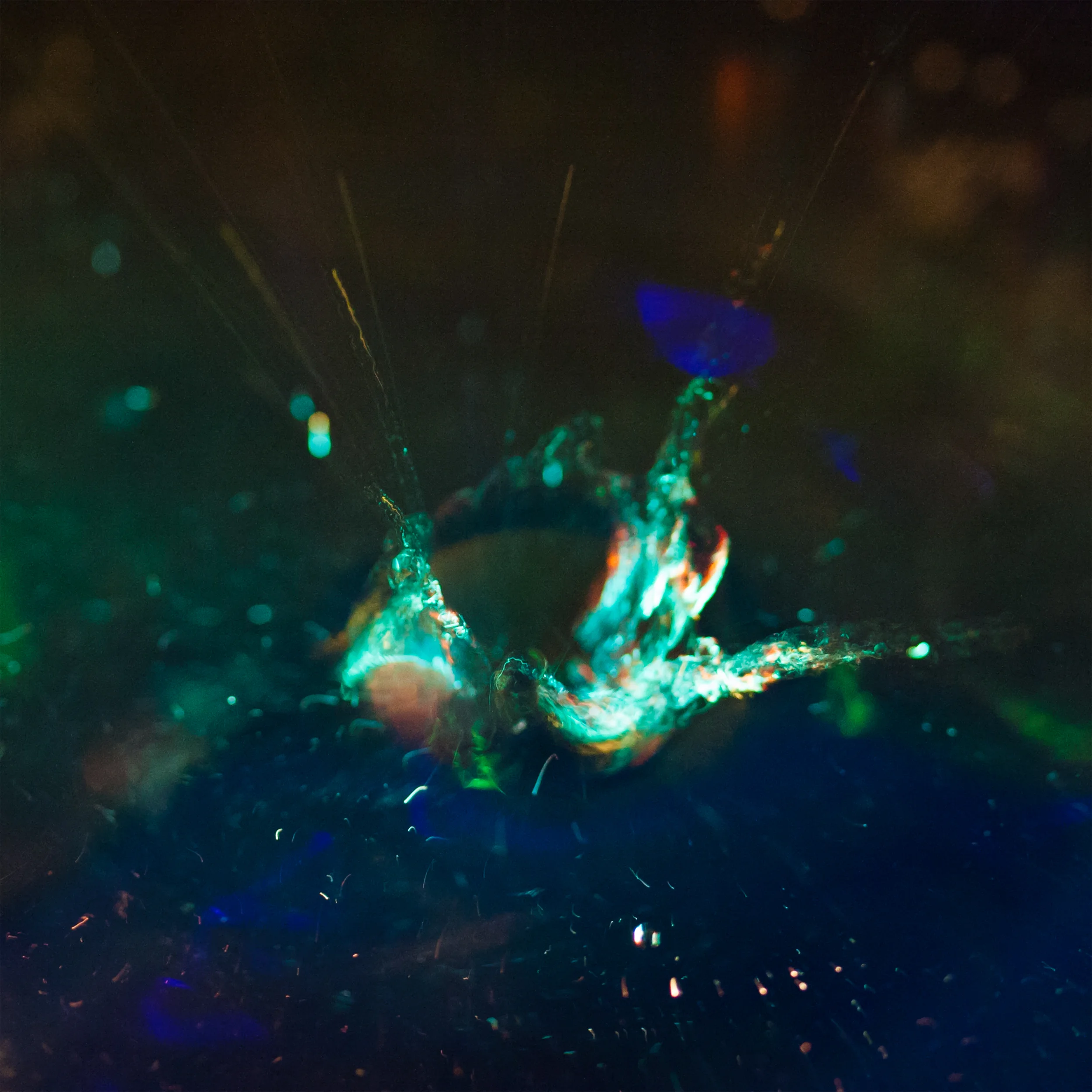 A.Erlebacher_Water_04[000-2892.2] Water&Light.jpg