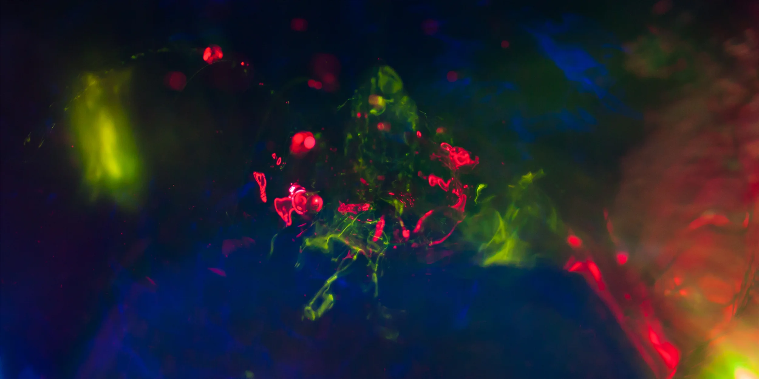 A.Erlebacher_Water_08[000-2722.2] Water&Light.jpg