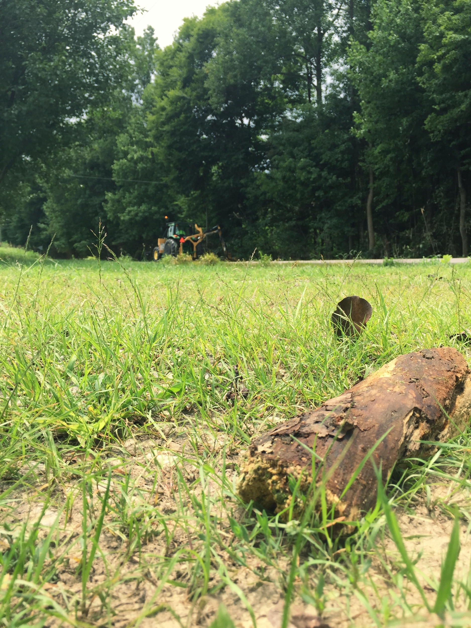 This thing is dangerous to more than just nature. I was nearly hit by this large piece of wood as it flew across the highway onto my property!