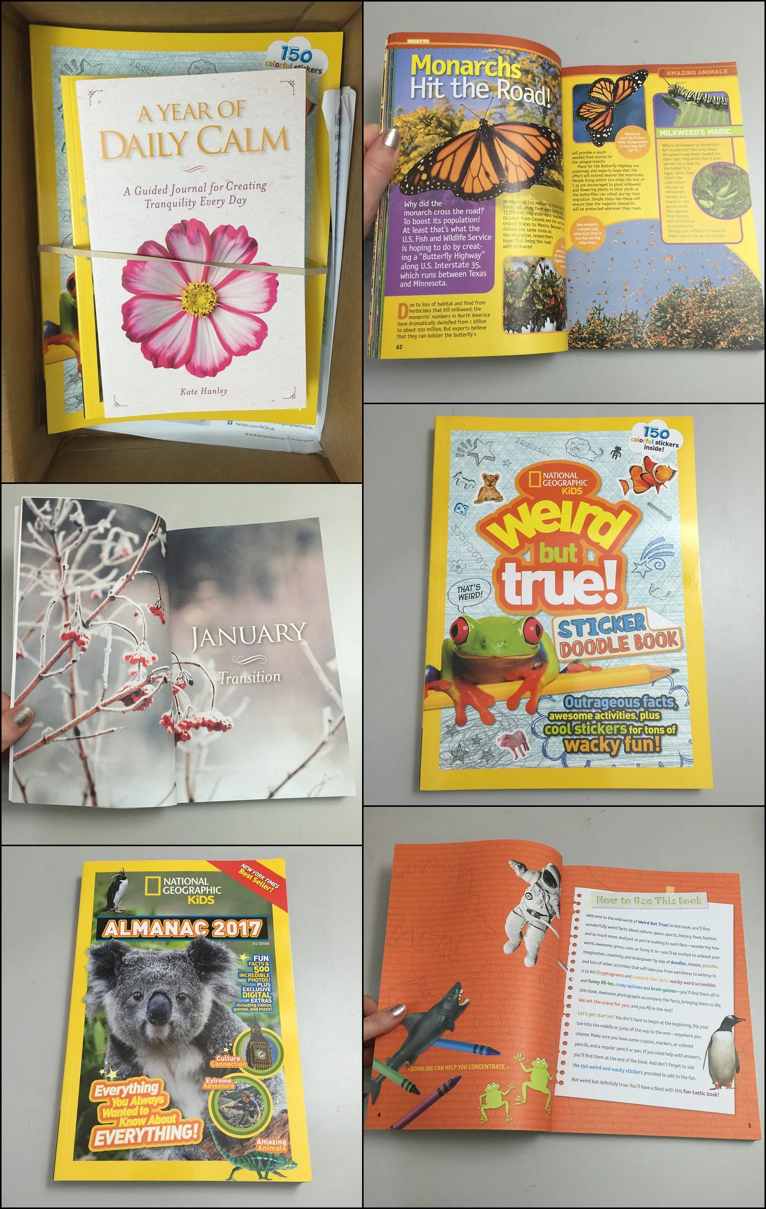 National Geographic Kids Almanac 2017, Weird But True Sticker Doodle Book and A Year of Daily Calm