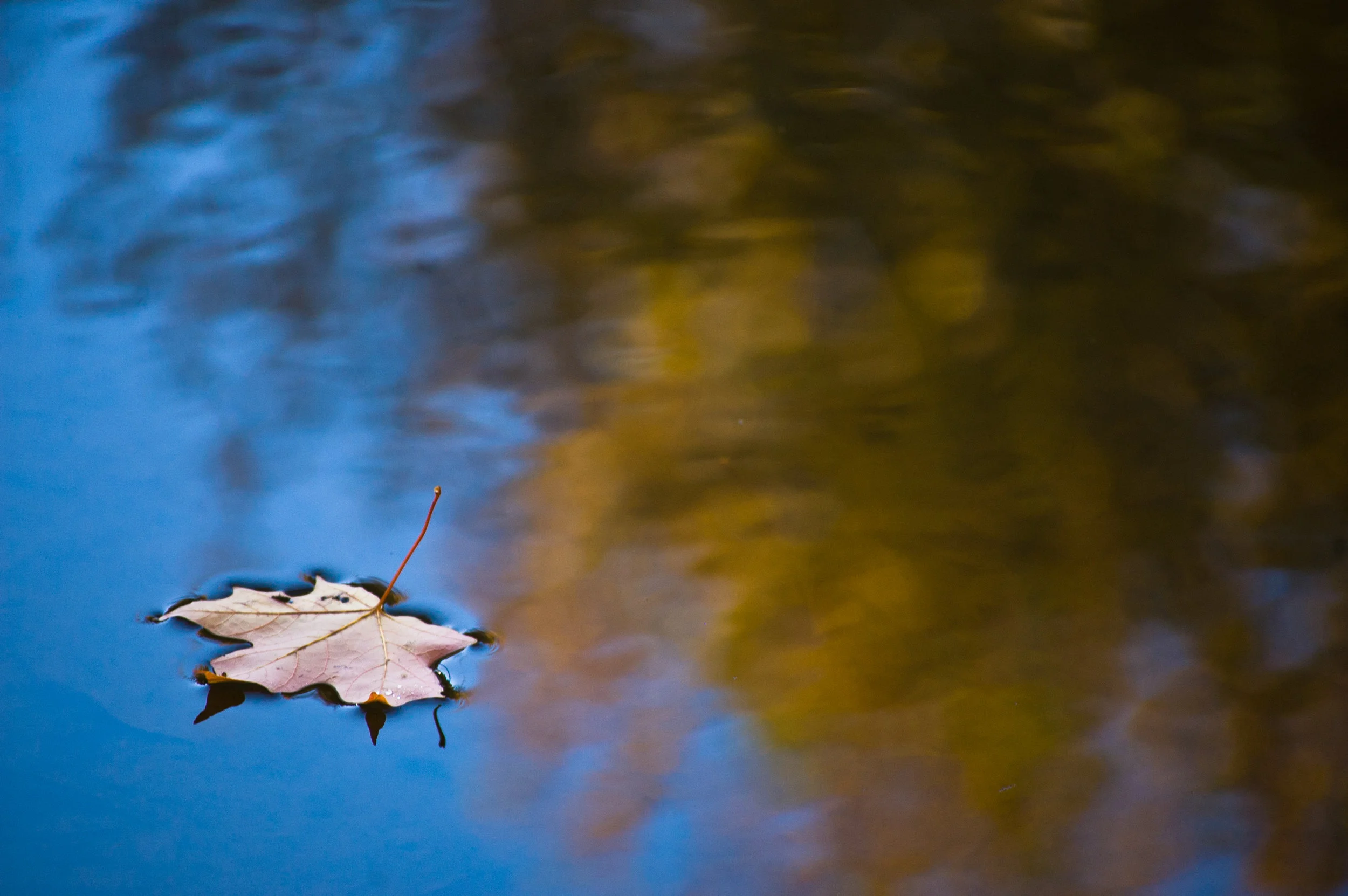 Source: Soul Gaze Photography, LLC