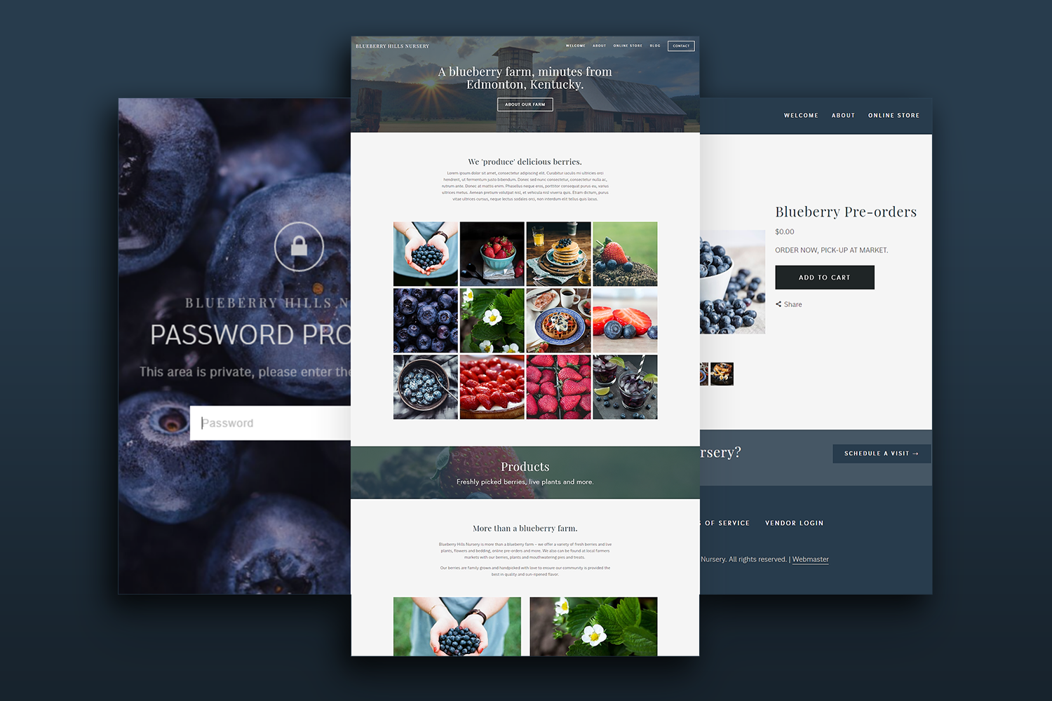Websites by Soul Gaze Photography.png