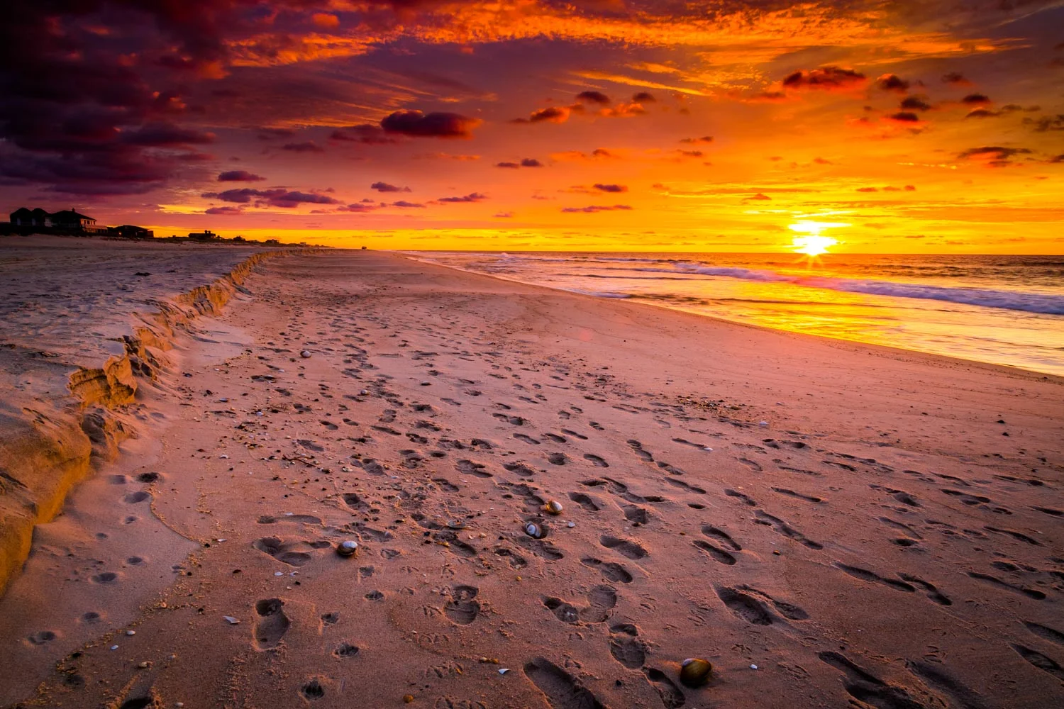 Scott Cameron Sunrise.jpg