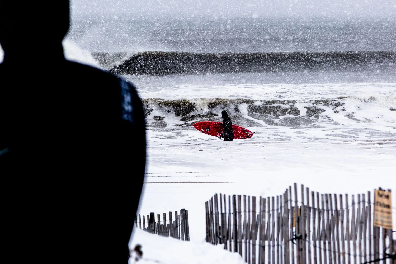Juno Swell.jpg