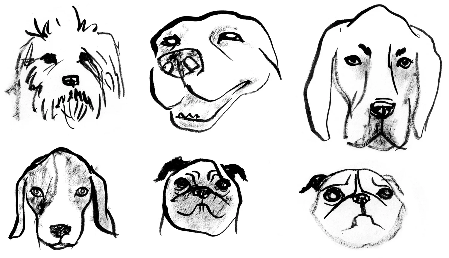 dogs
