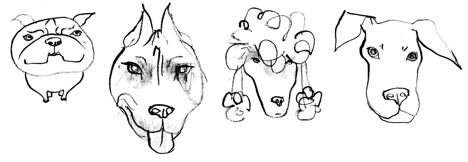 more dogs