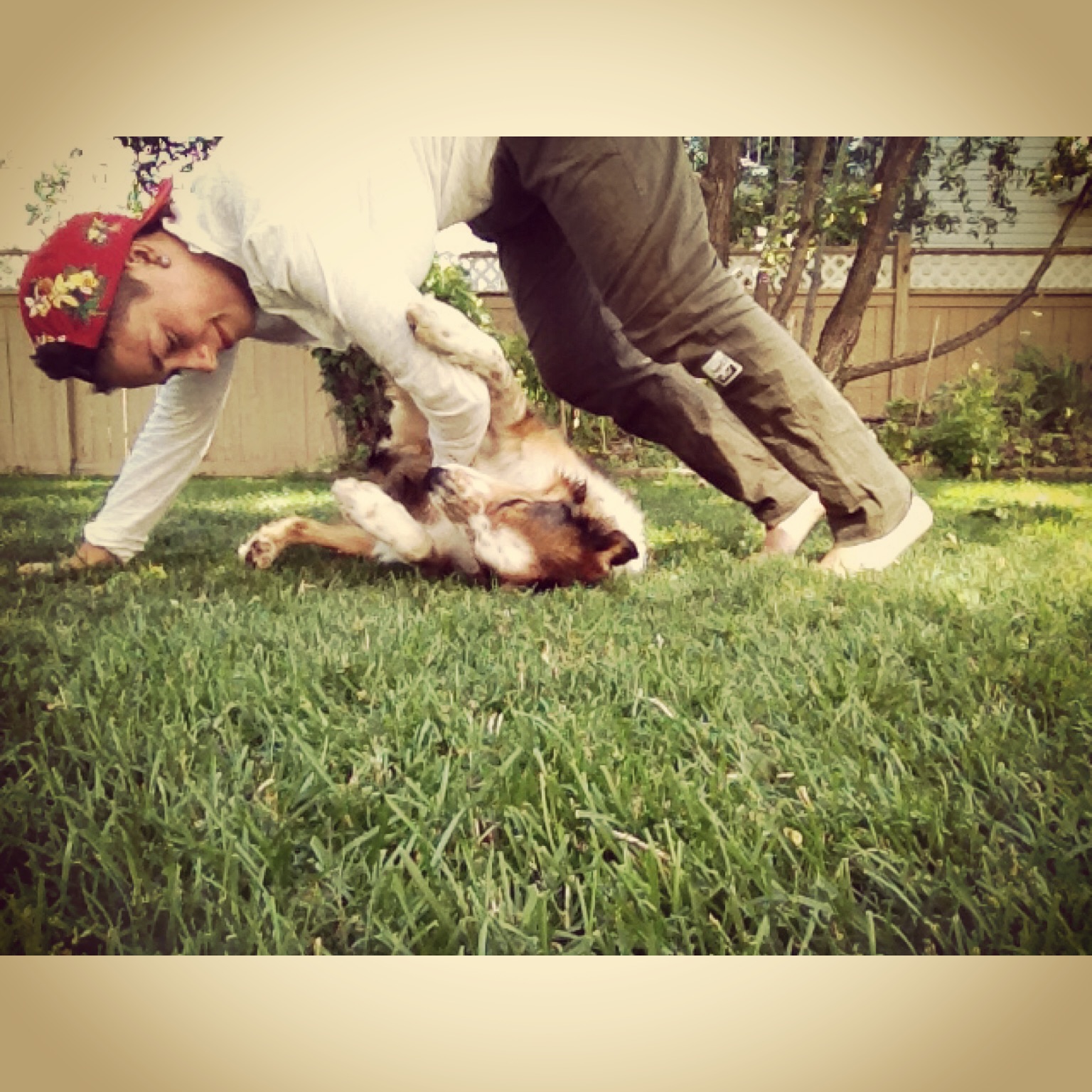 Trying to do yoga and get my stretch on with little success as my dog is so fricken cute.
