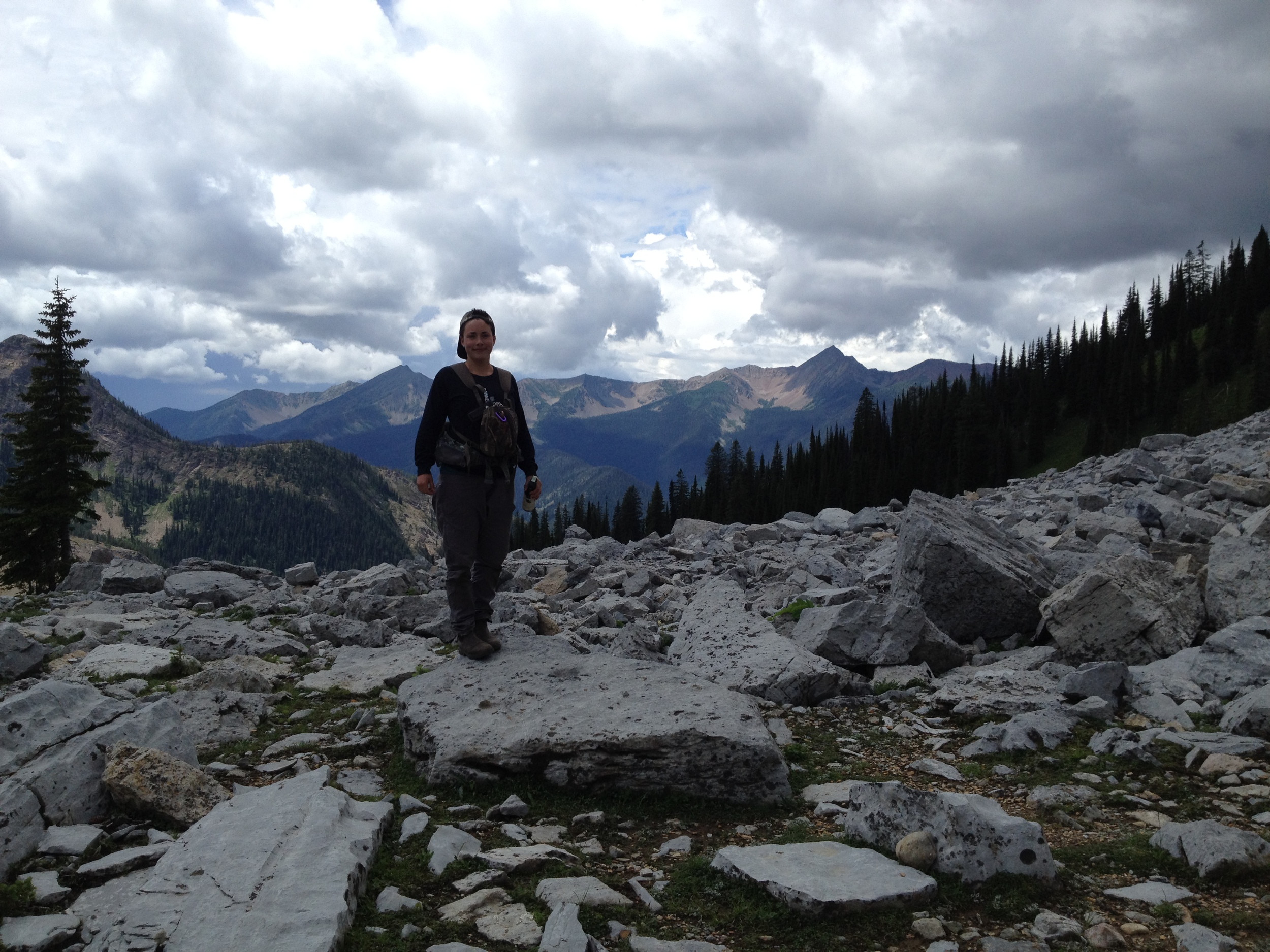 Top of the Mountain. 7100ft. 