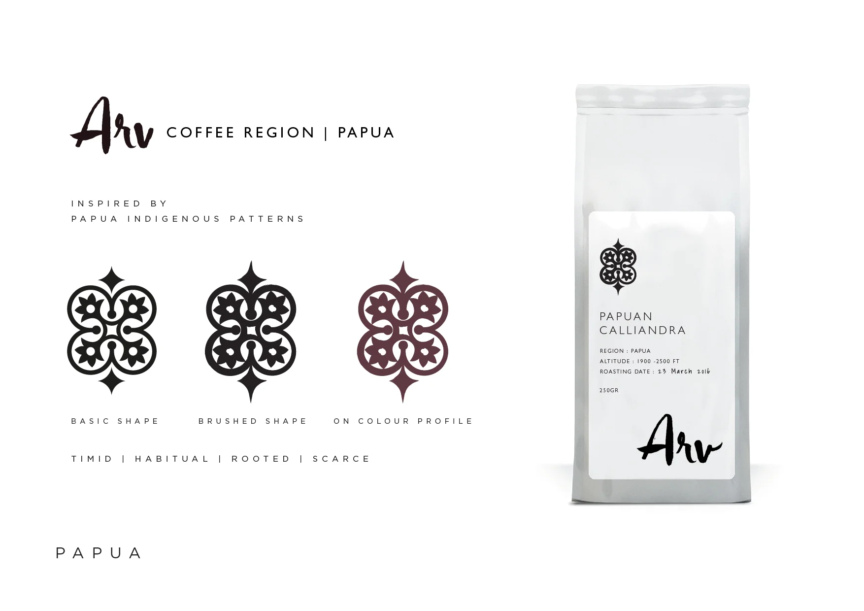 ARV+-+Brand+Guideline-16.jpg