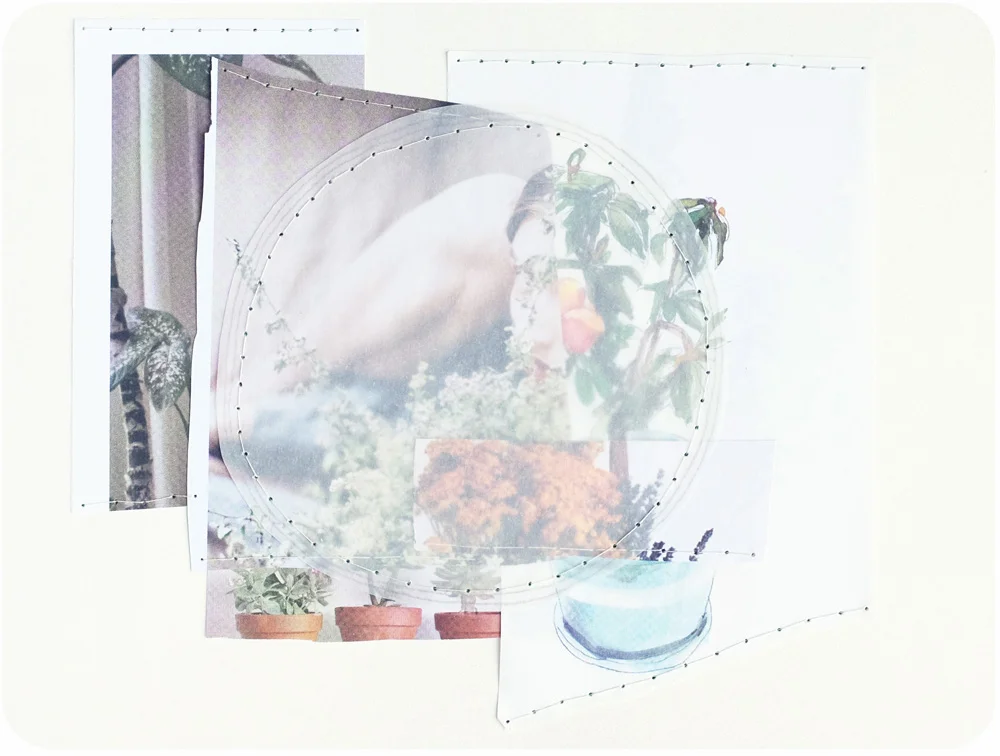 houseplants.jpg
