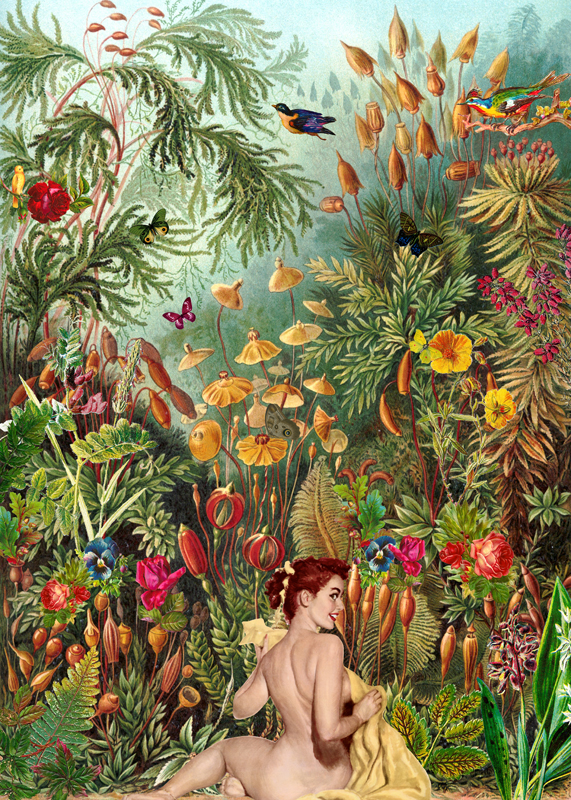 Collage _ Eva_ gloria sanchez.jpg