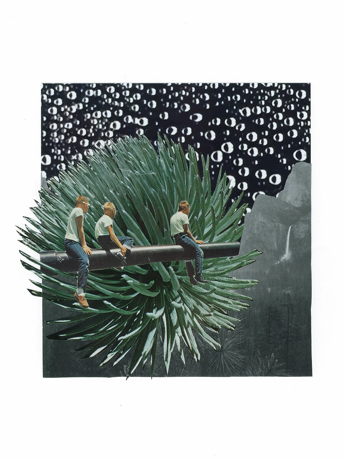 CactusBloom.jpg