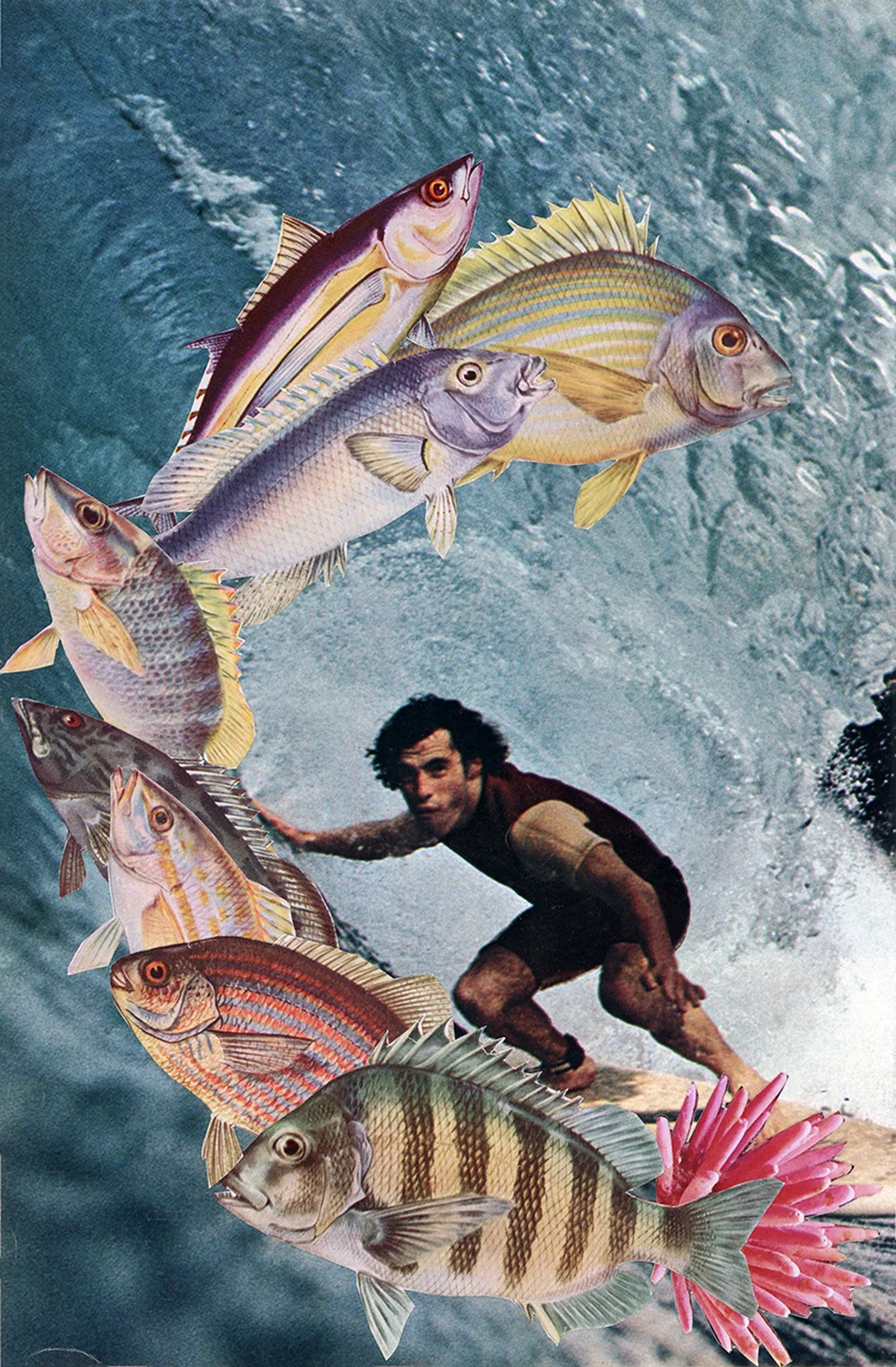 Hang10.natgeo.jpg