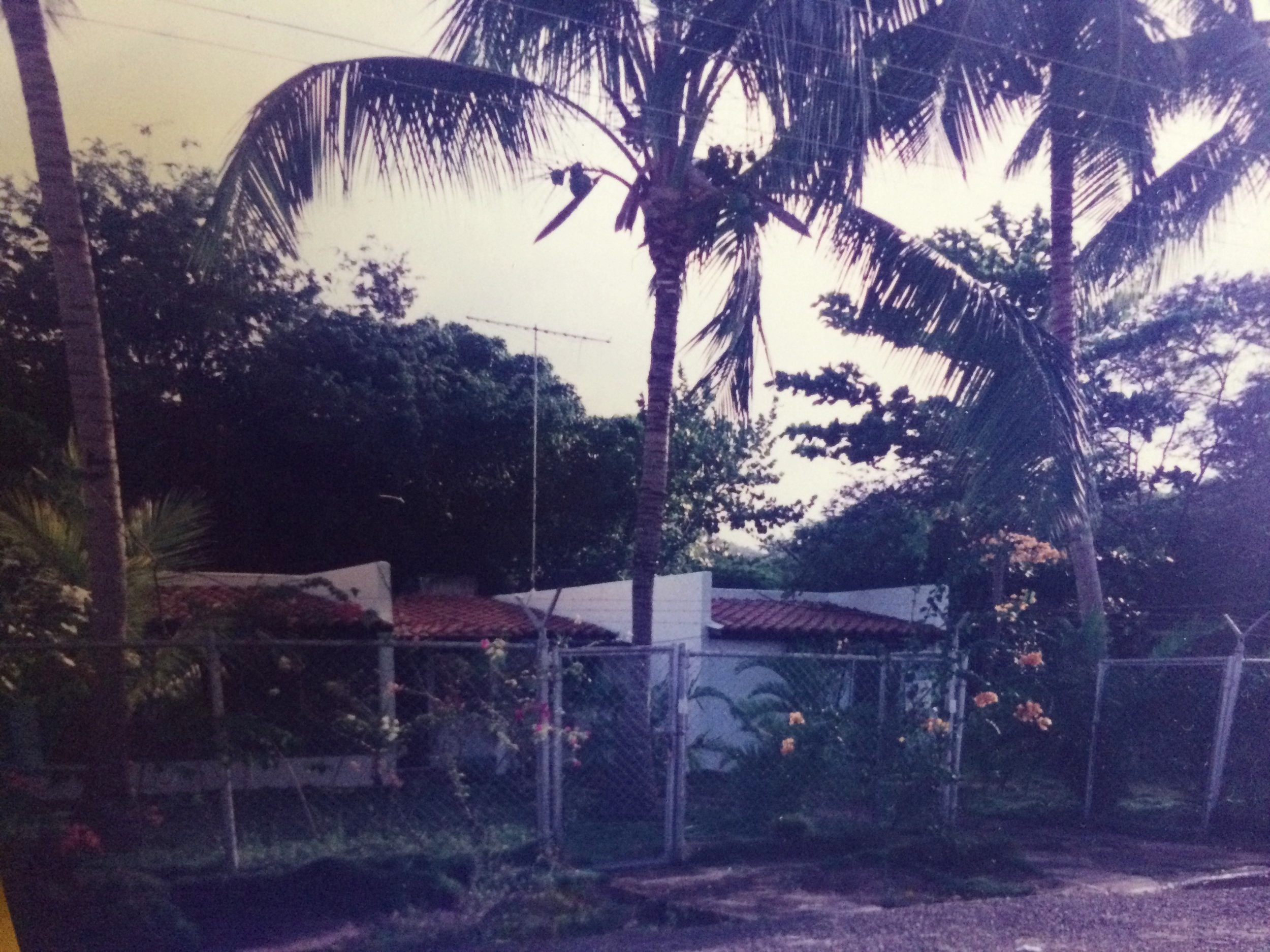 One of the only two photos I have of the house. I had completely forgotten about the tons of hibiscus flowers my mom had planted along the driveway.