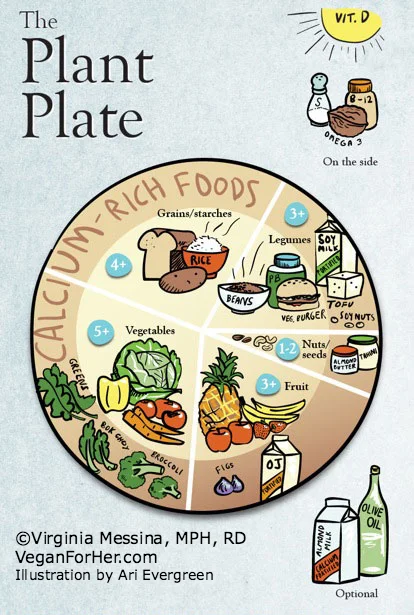 how_to_build_a_balanced_vegan_plate_how_to_eat_a_healthy_vegan_diet_how_to_get_all_the_nutrients_you_need_on_a_vegan_diet.jpg