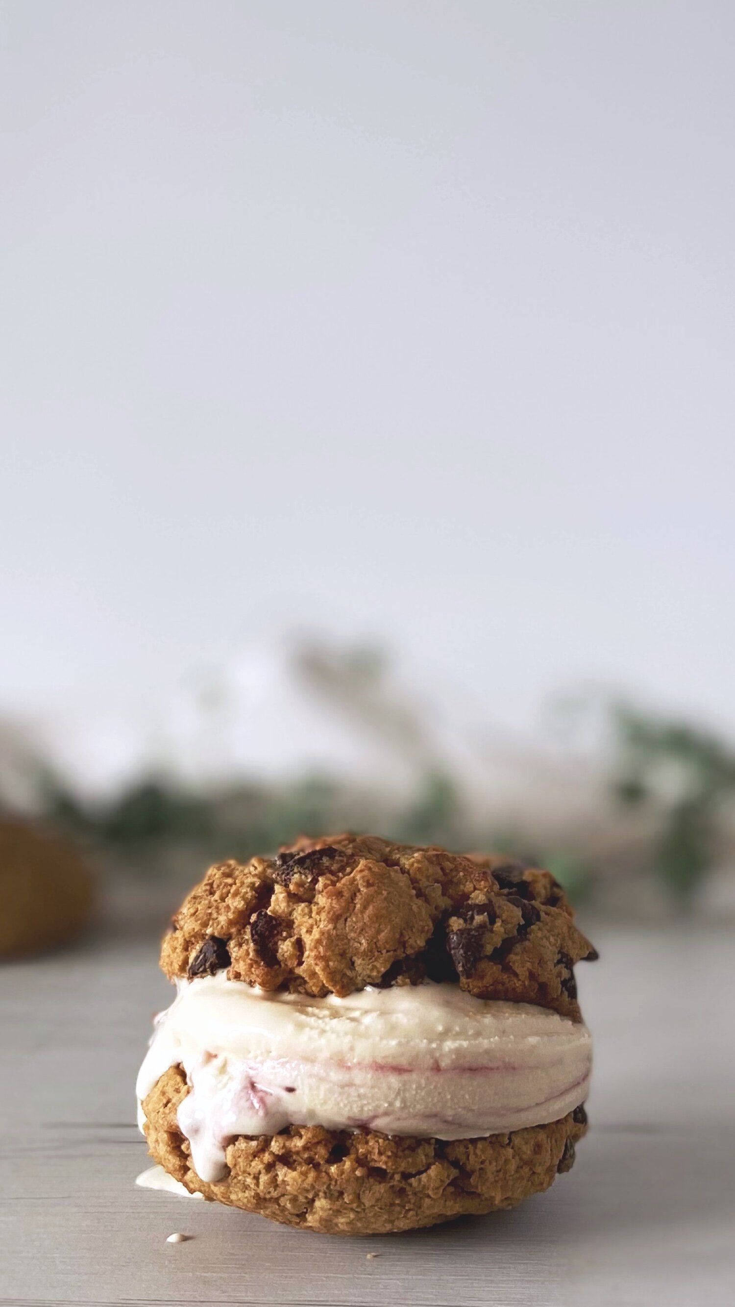 Vegan Apricot Chocolate Chip Oatmeal Cookies and Ice Cream Sandwiches by Brownble