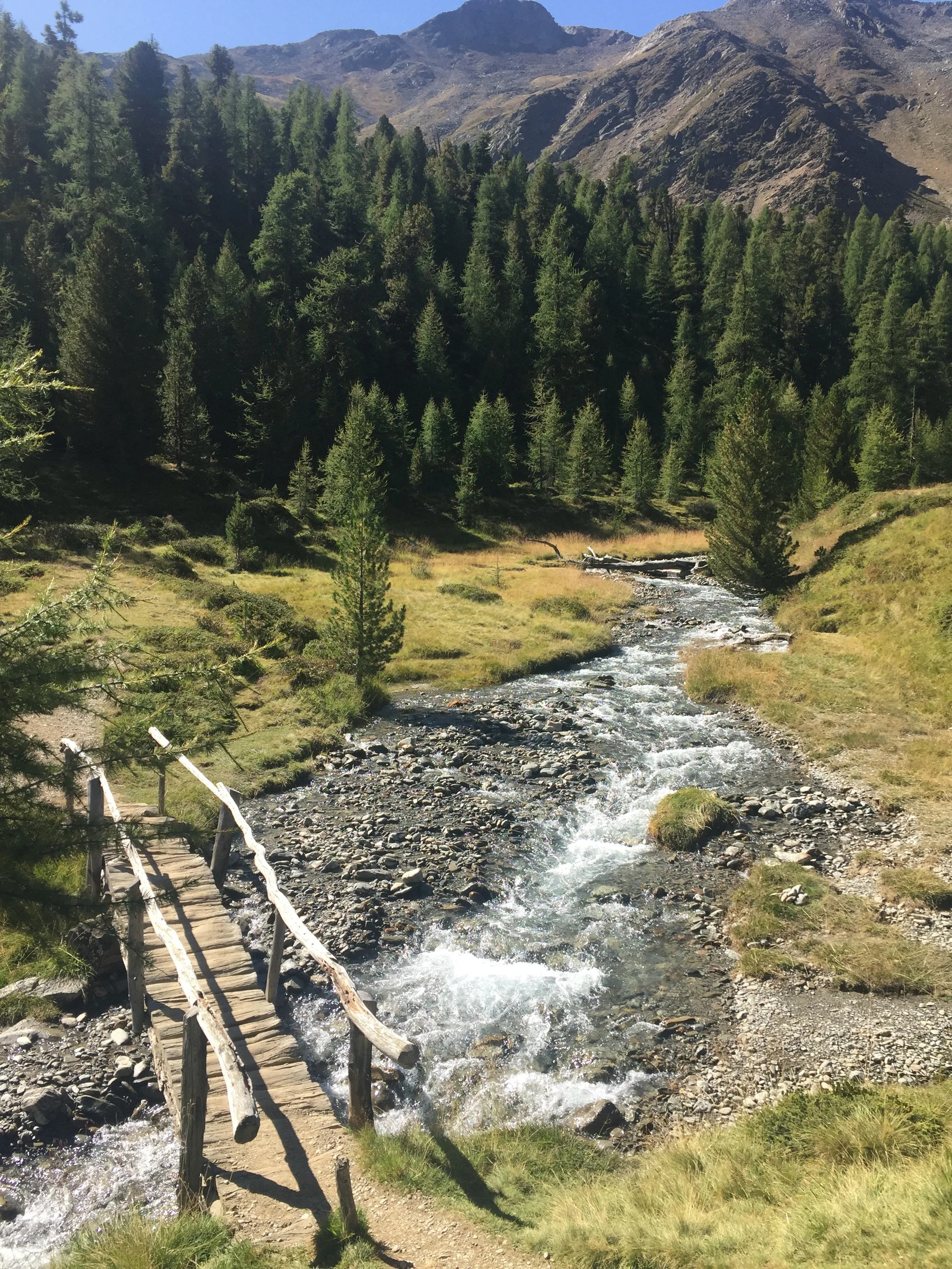 Nice little downhill track along a river