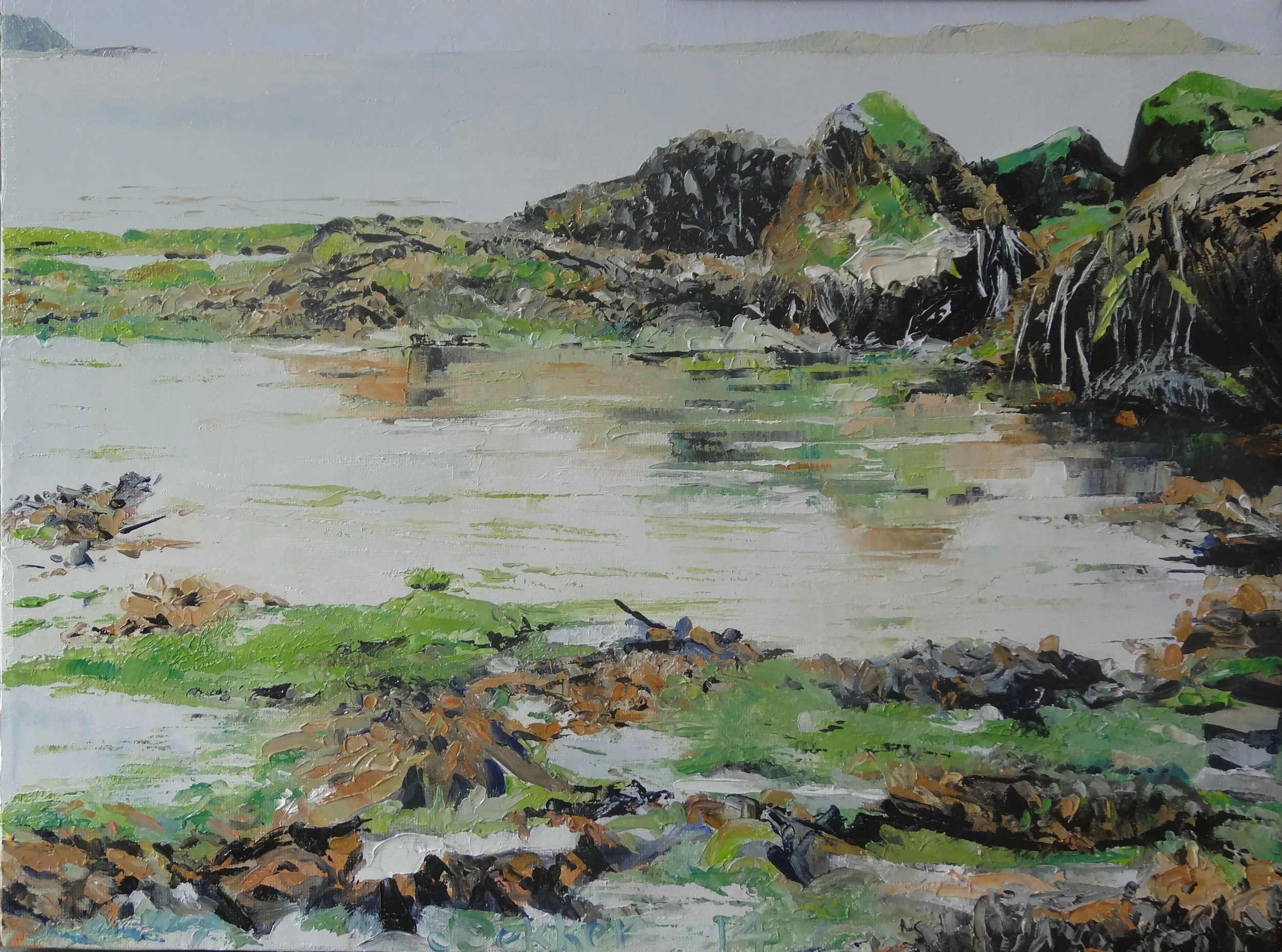 Bretonse kust met rotsen, water en wier